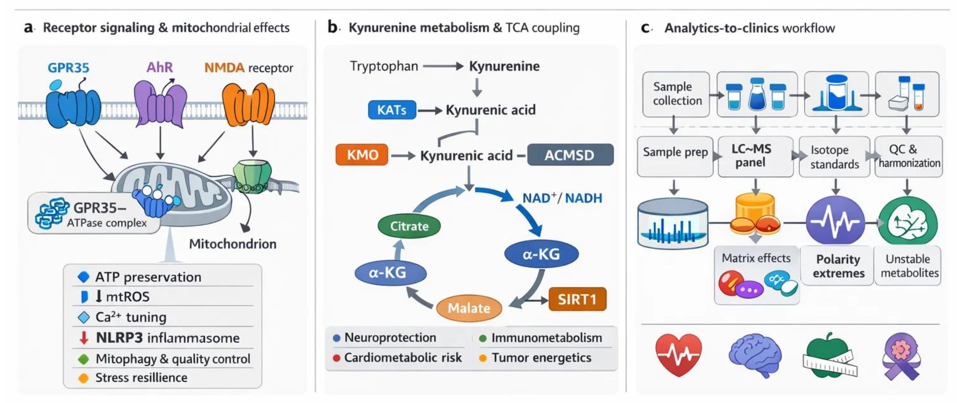 Preprints 193637 g001