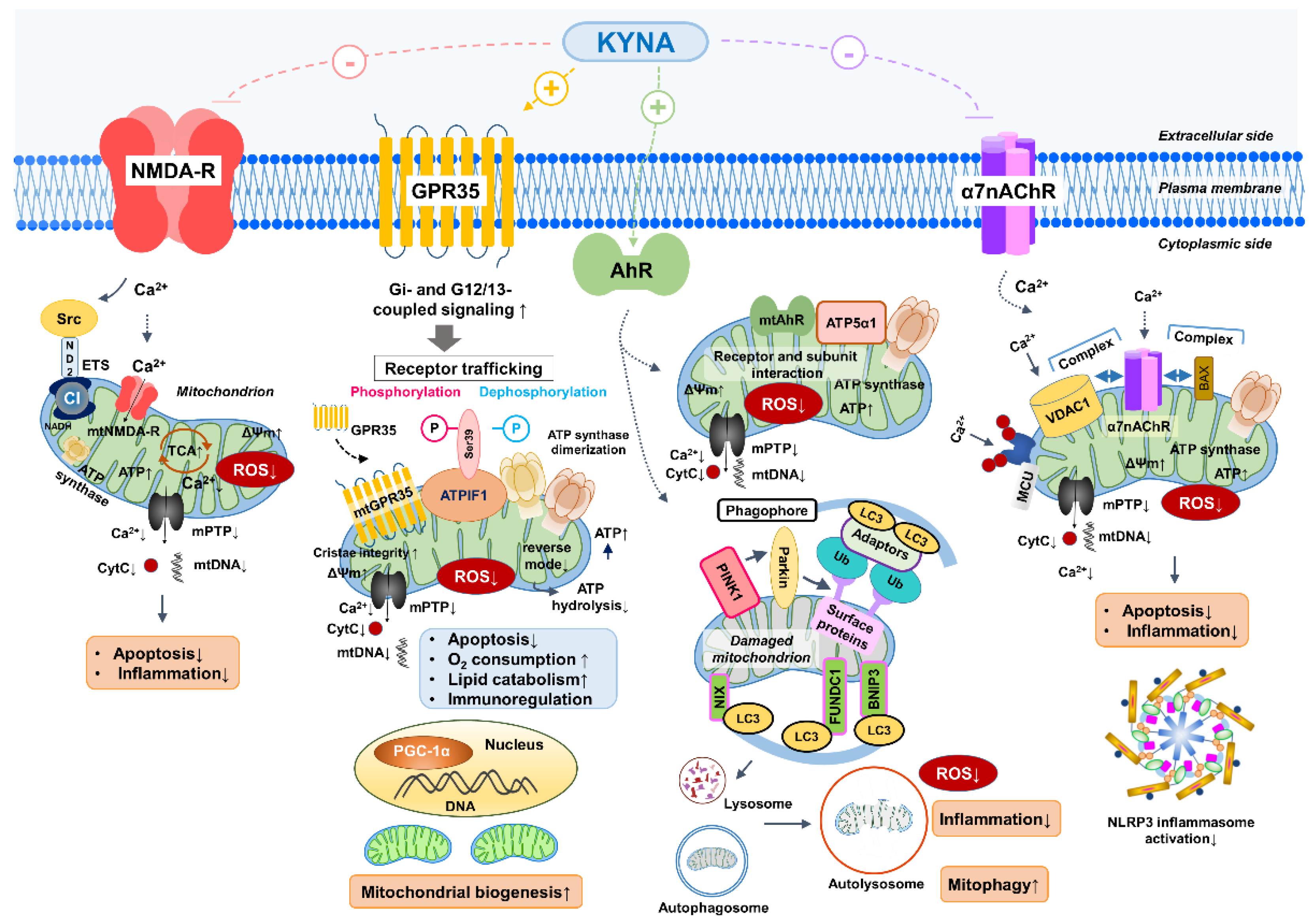Preprints 193637 g002