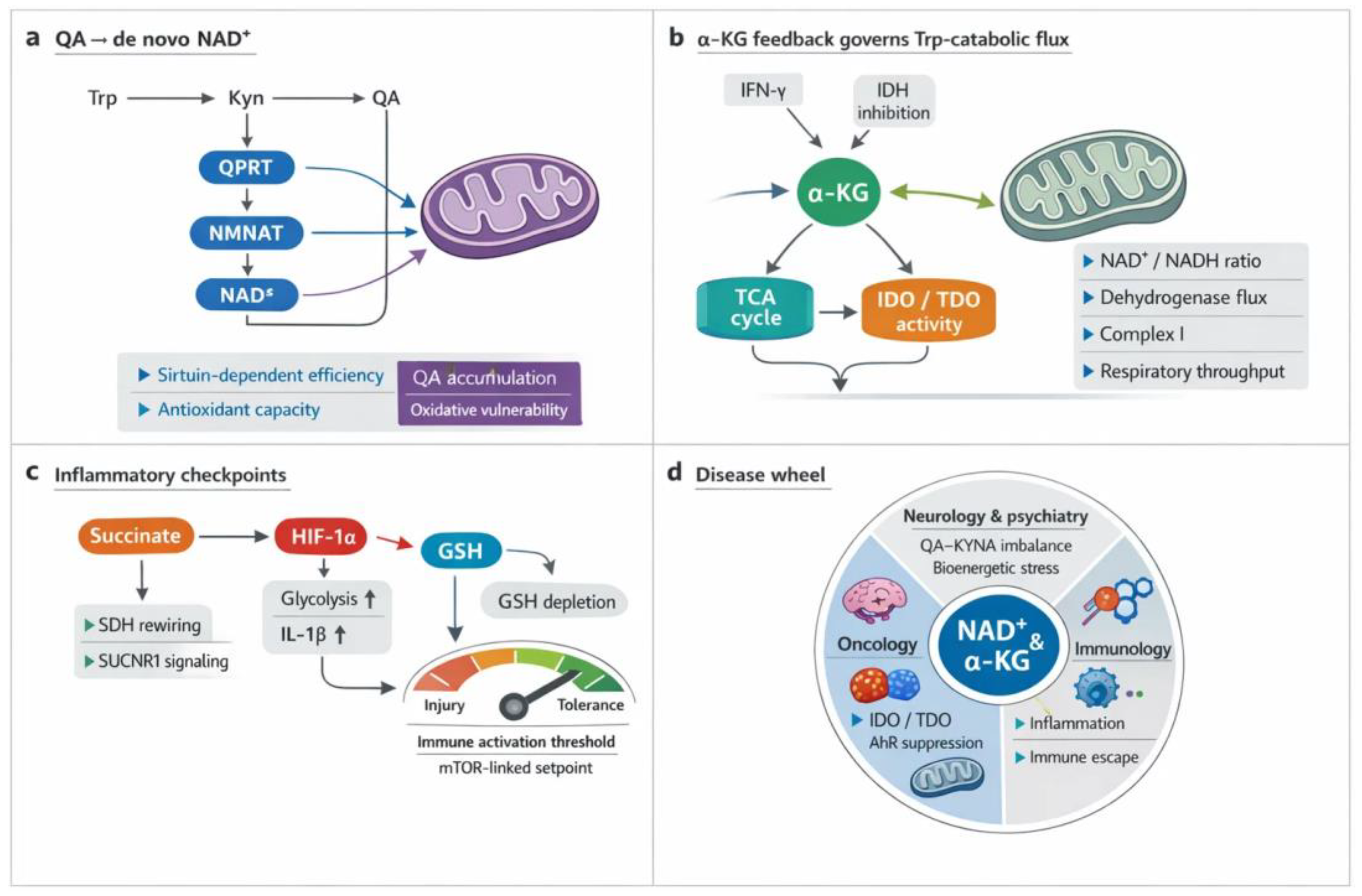 Preprints 193637 g003