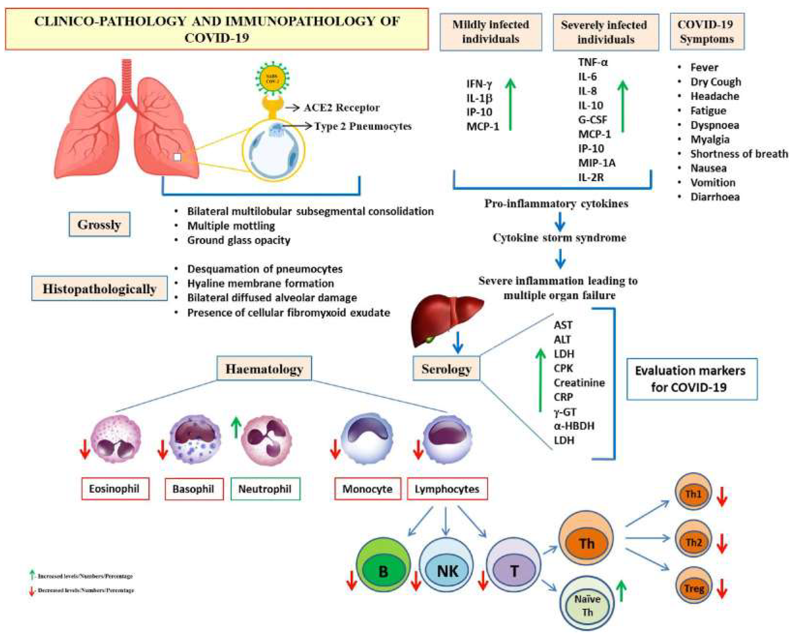 Preprints 82994 g002