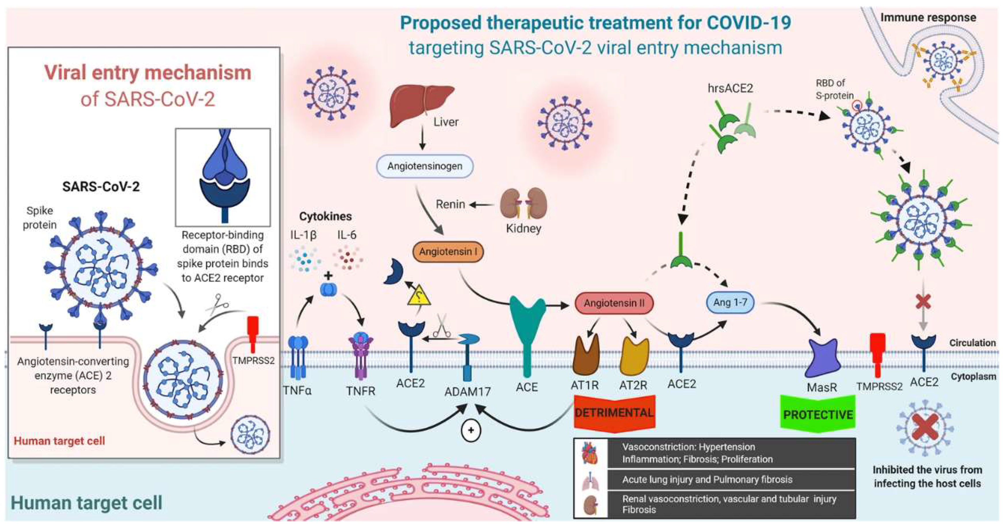Preprints 82994 g005