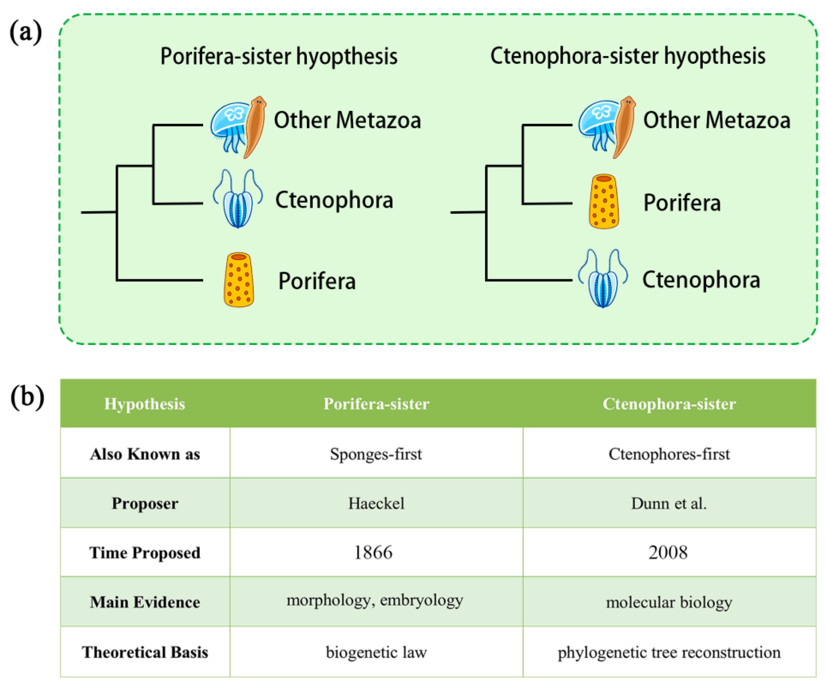 Preprints 194230 g001
