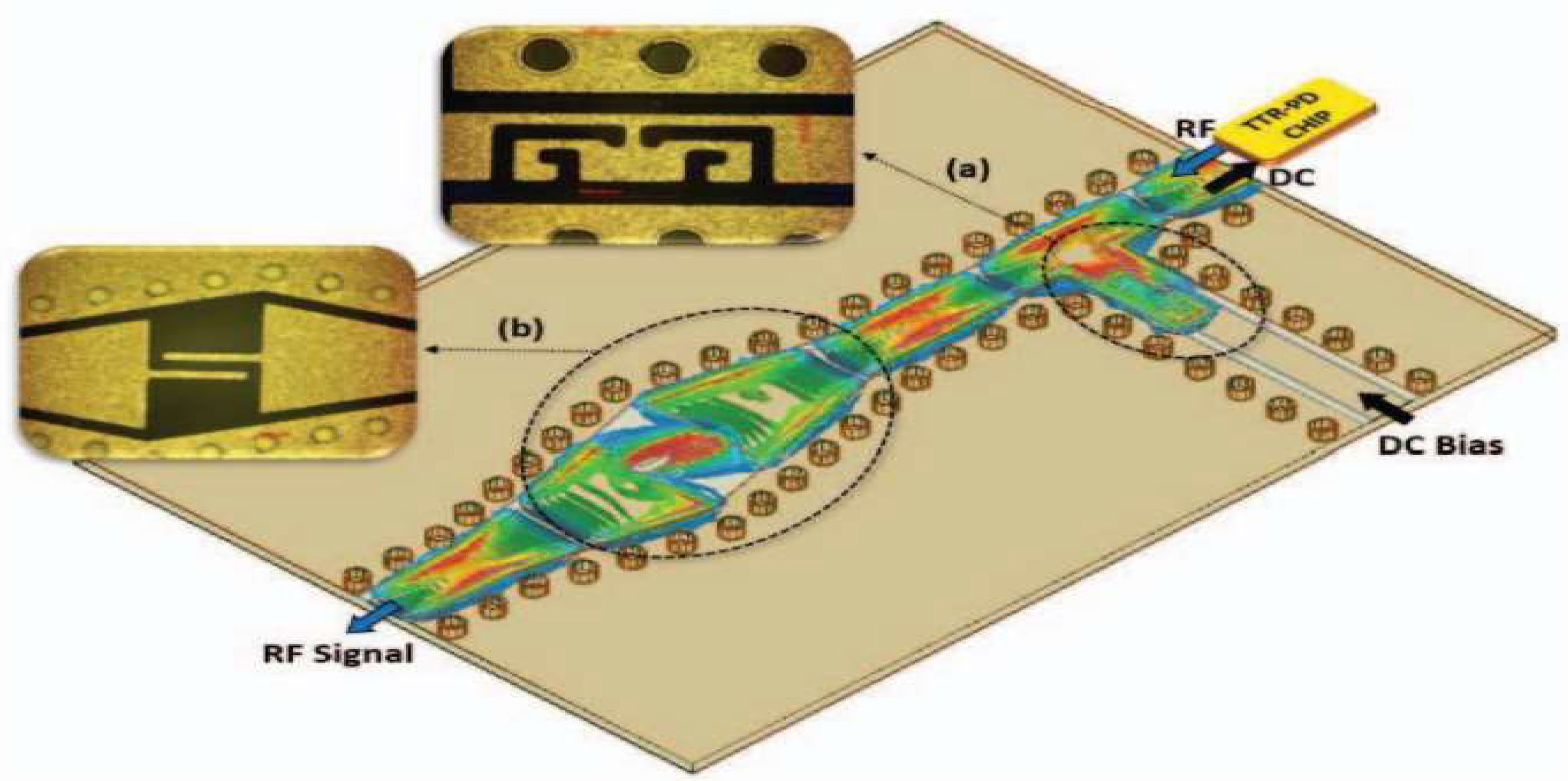 Preprints 157636 g024