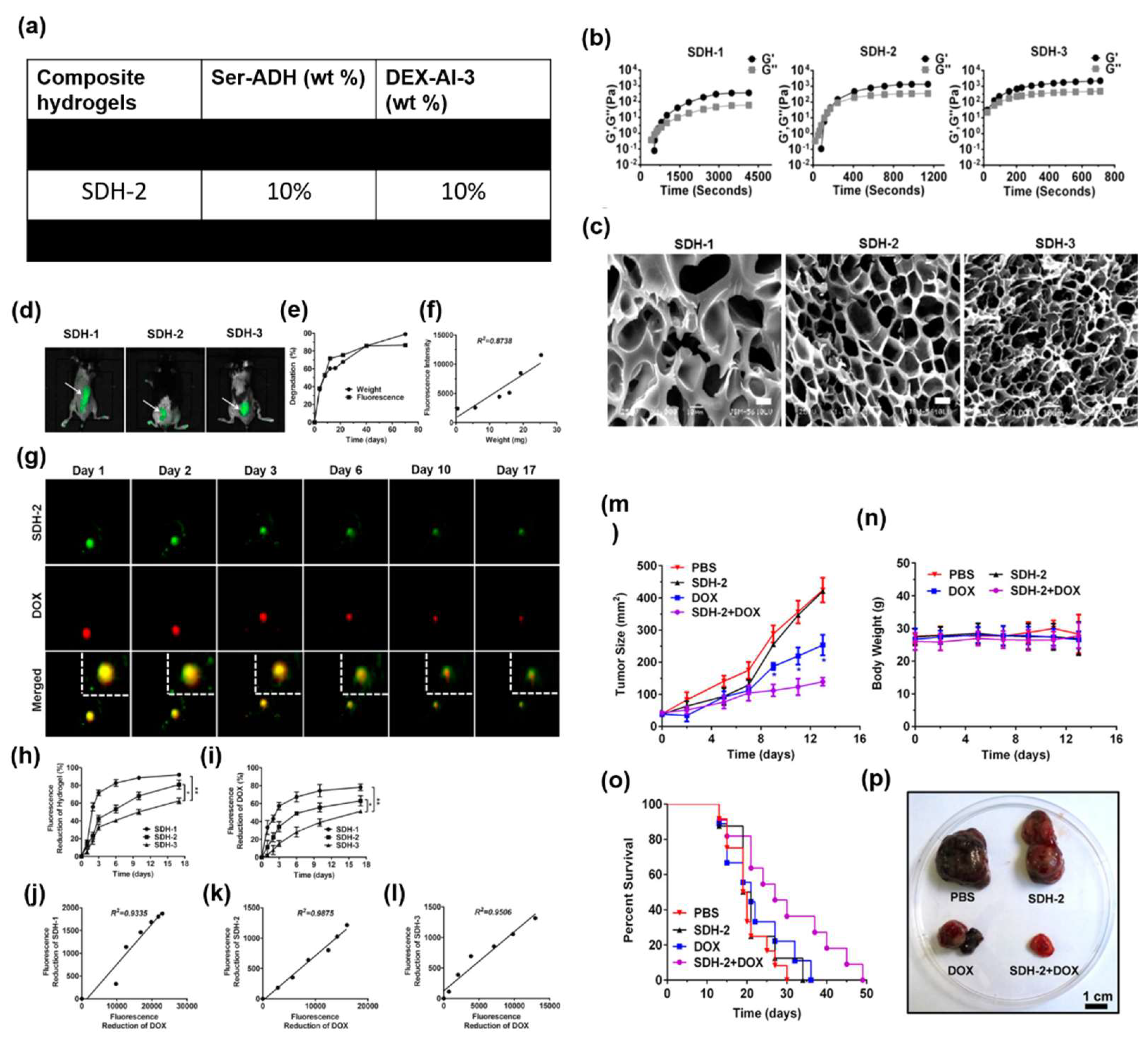 Preprints 159661 g006
