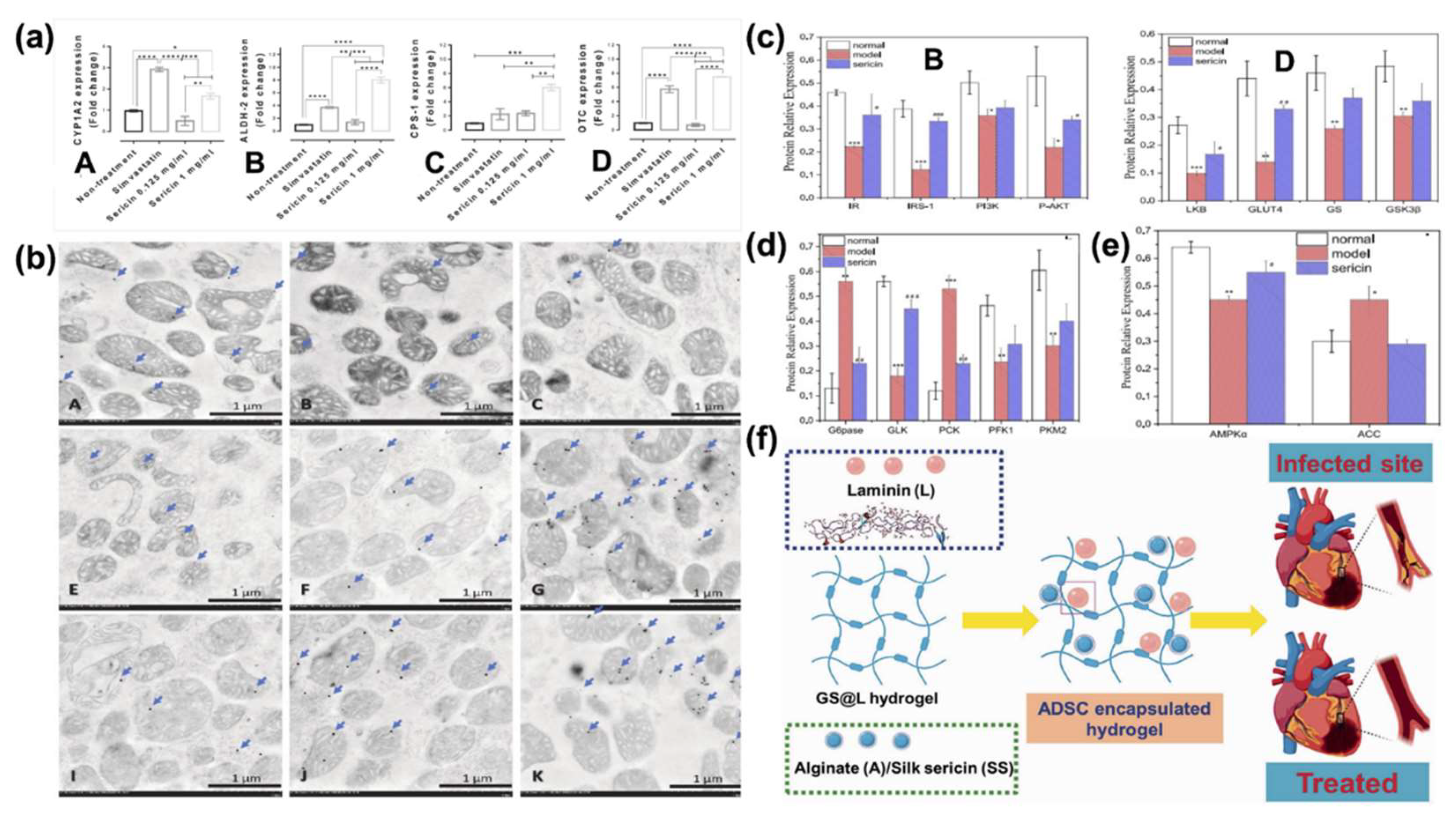 Preprints 159661 g007