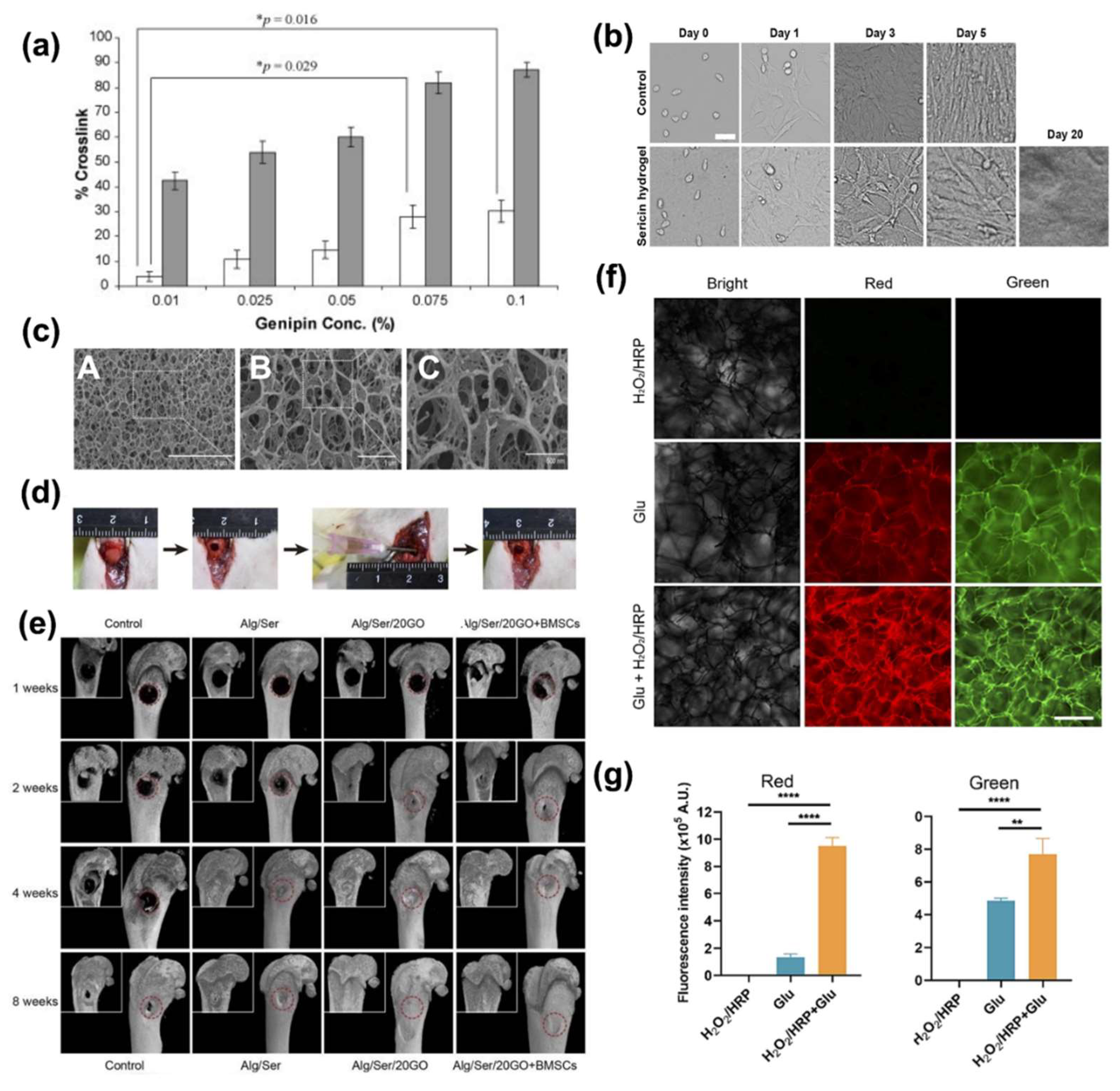 Preprints 159661 g008