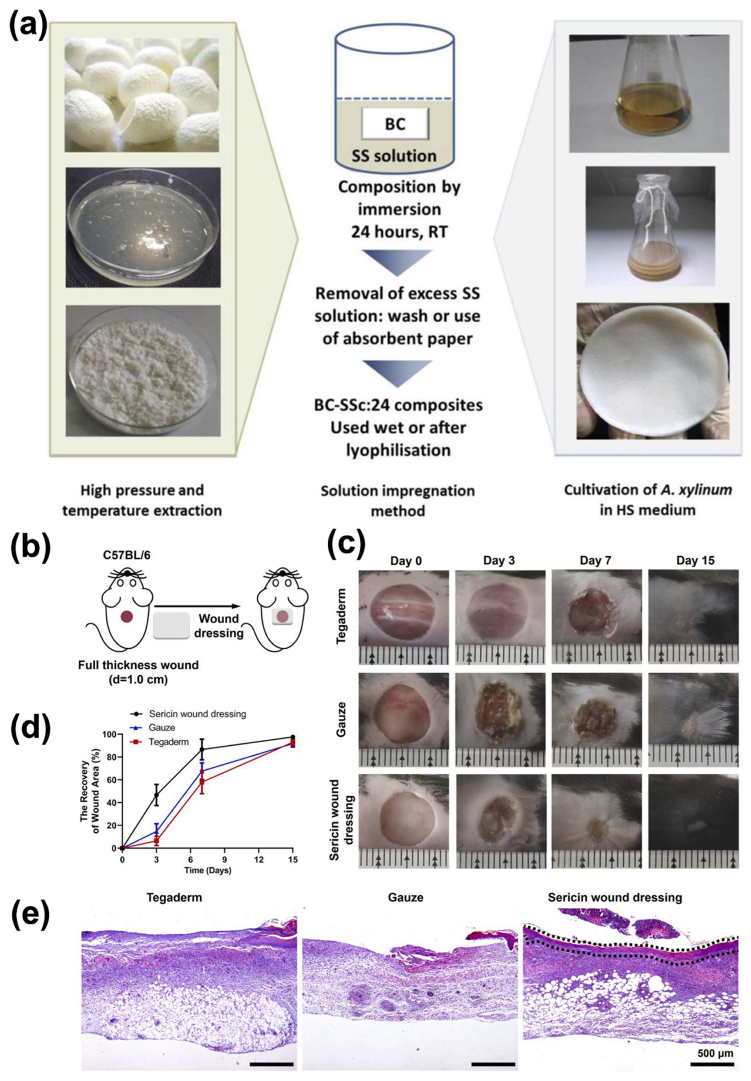 Preprints 159661 g009