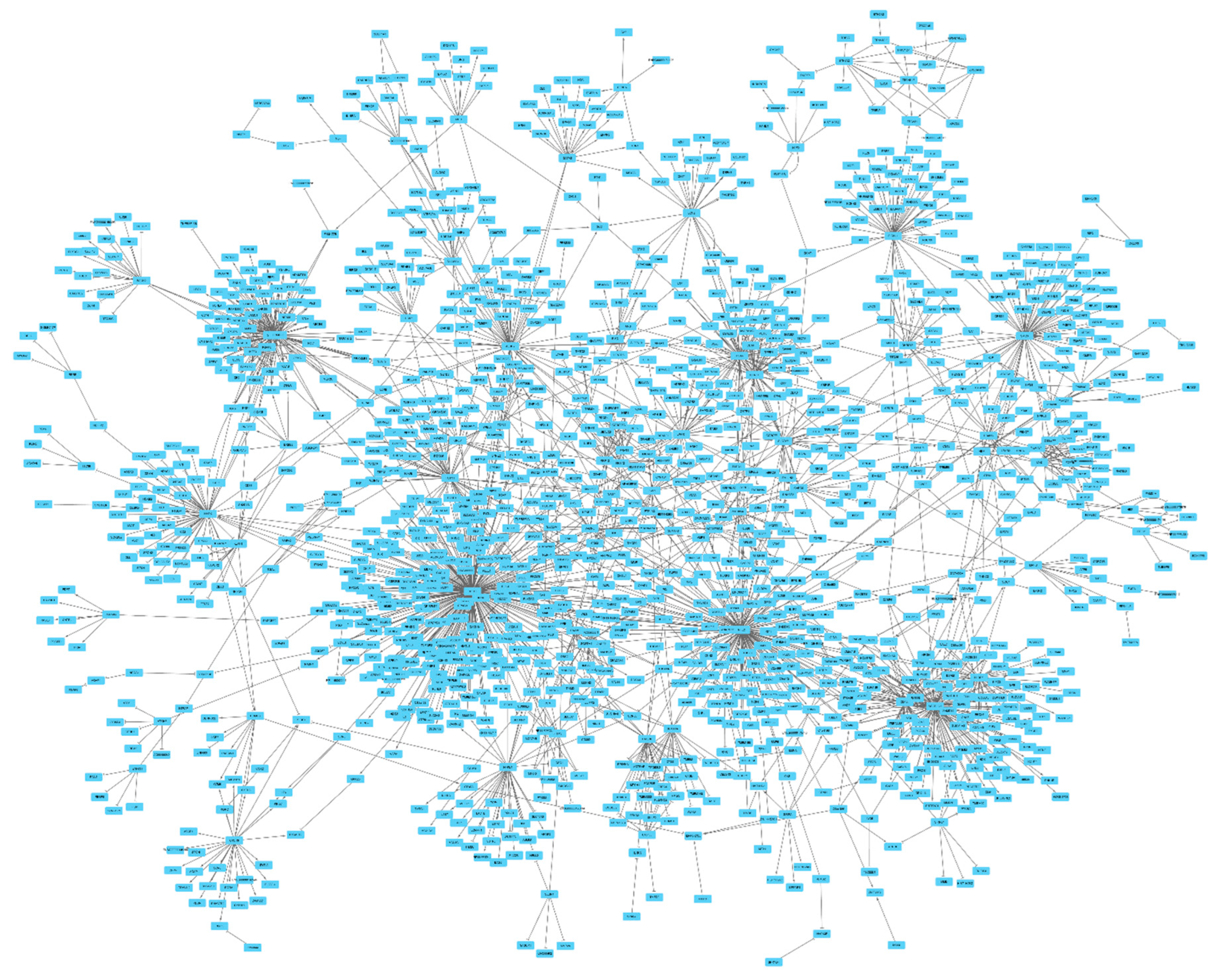 Preprints 119192 g002