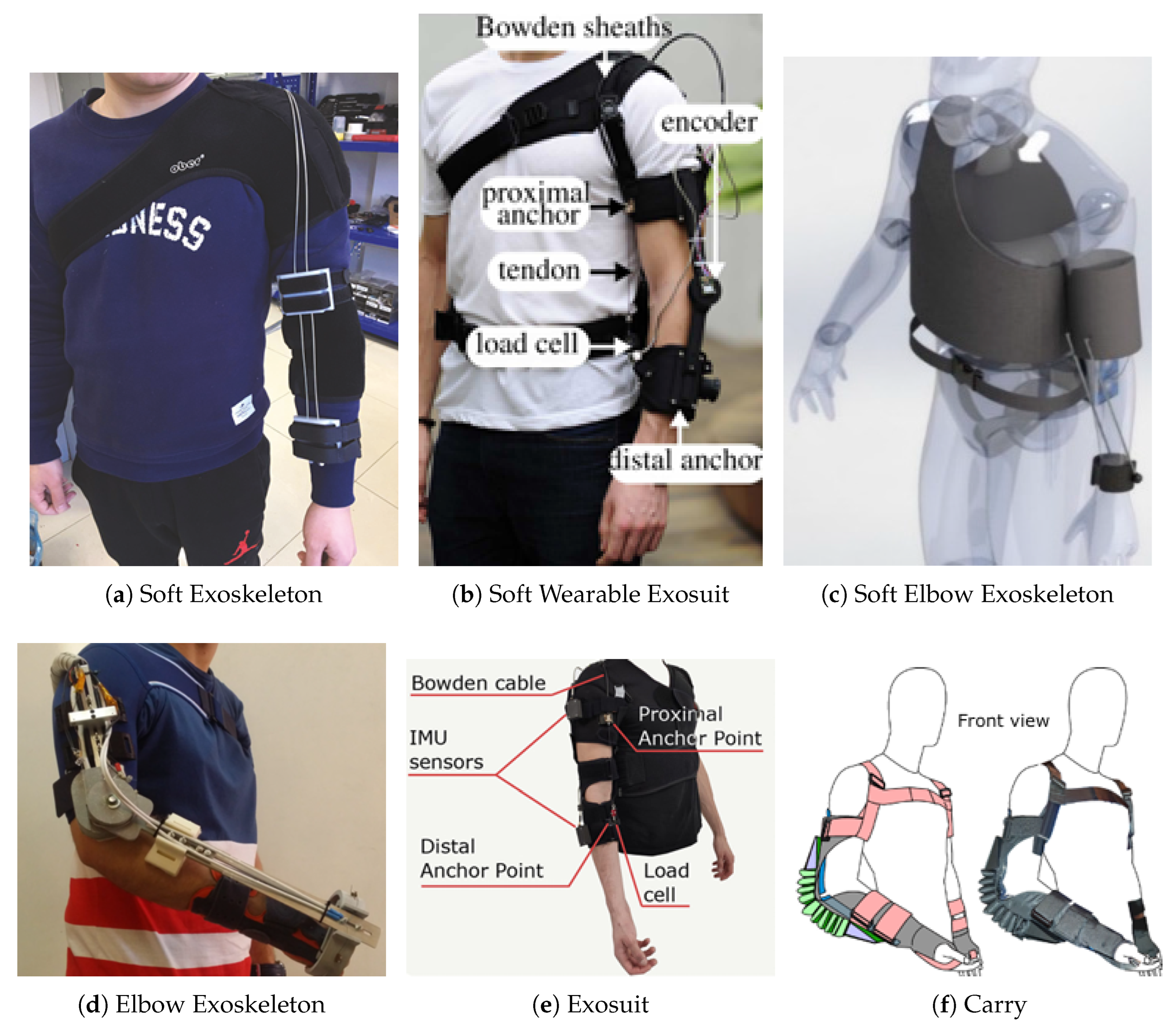 Preprints 161594 g003