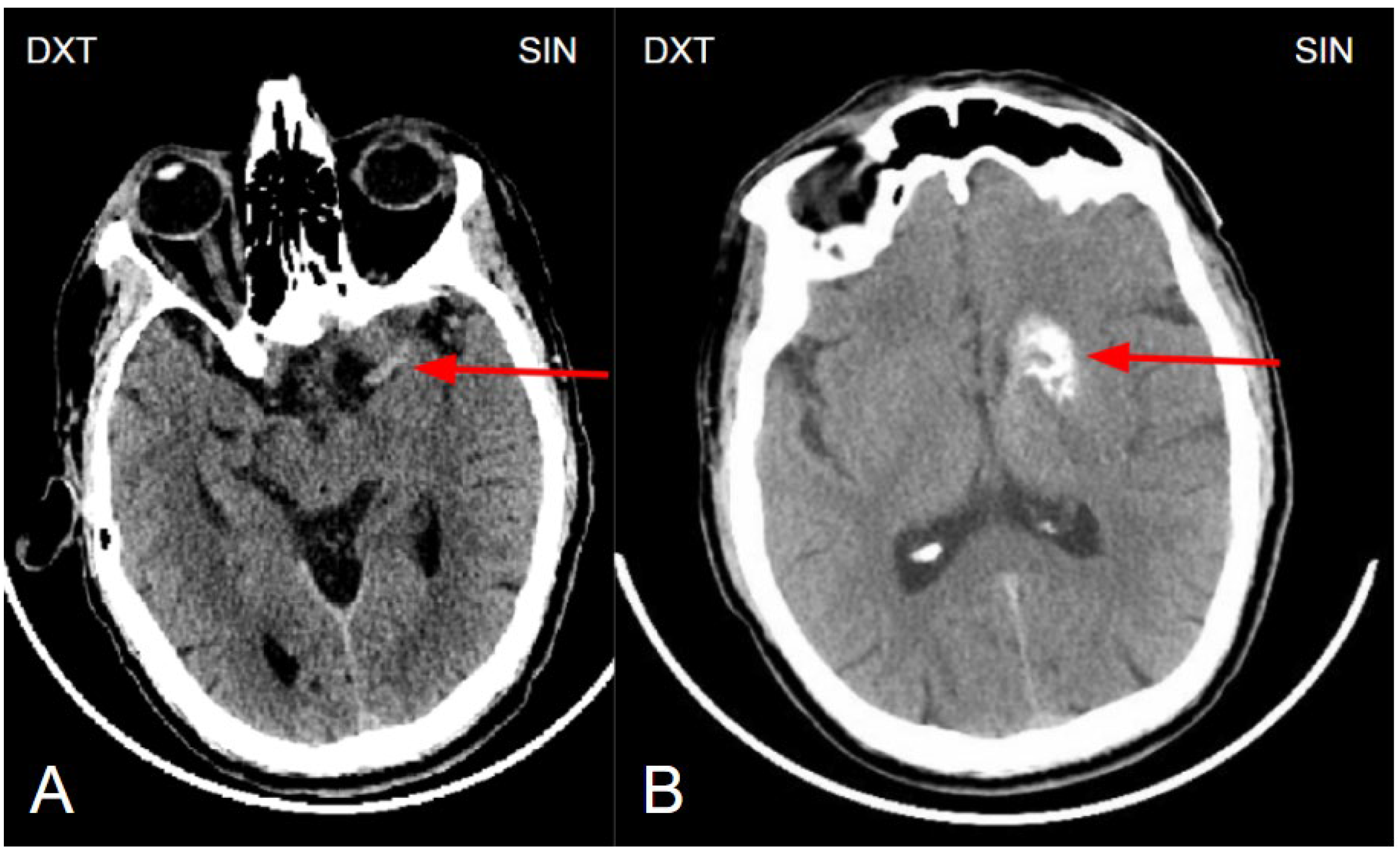 Preprints 141682 g001