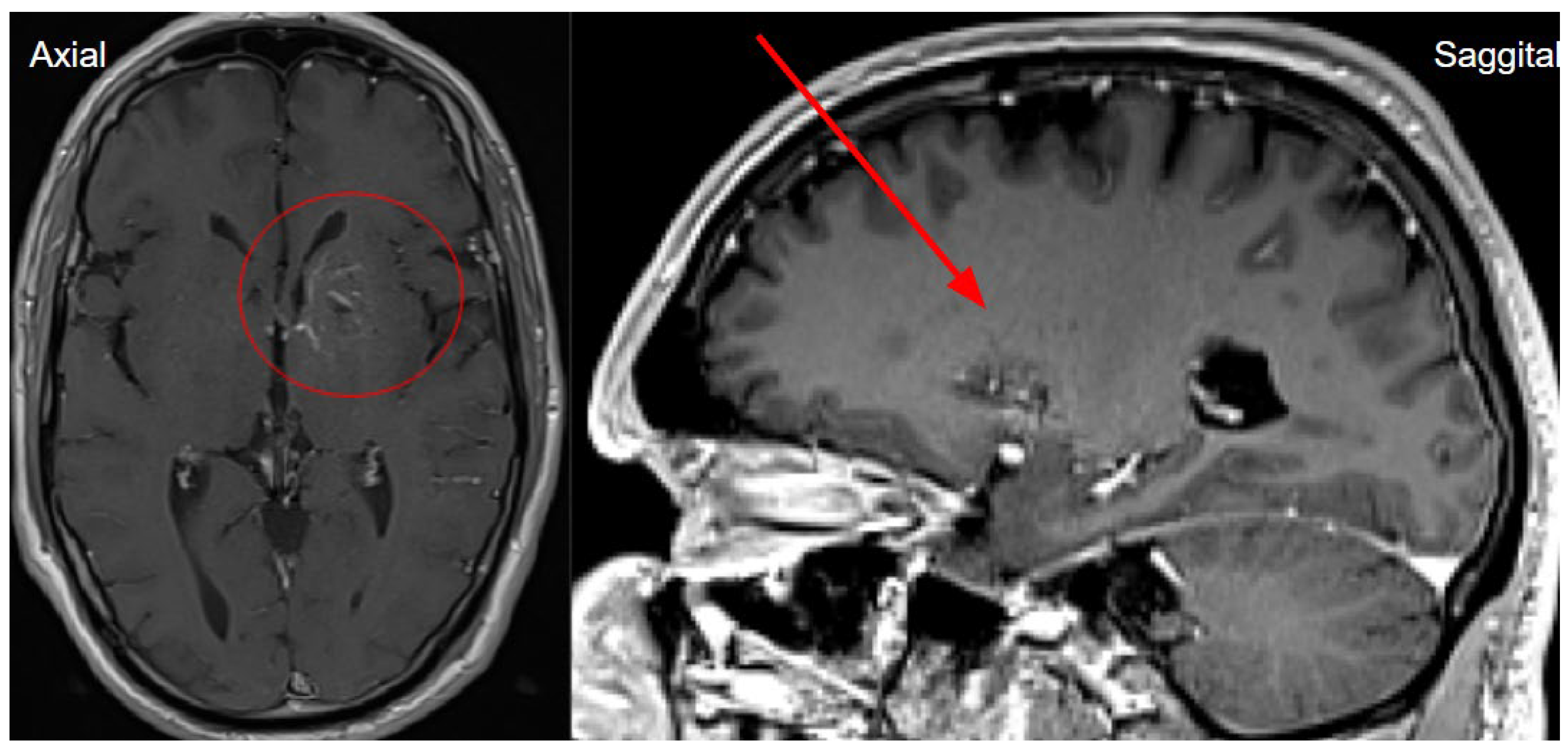 Preprints 141682 g003