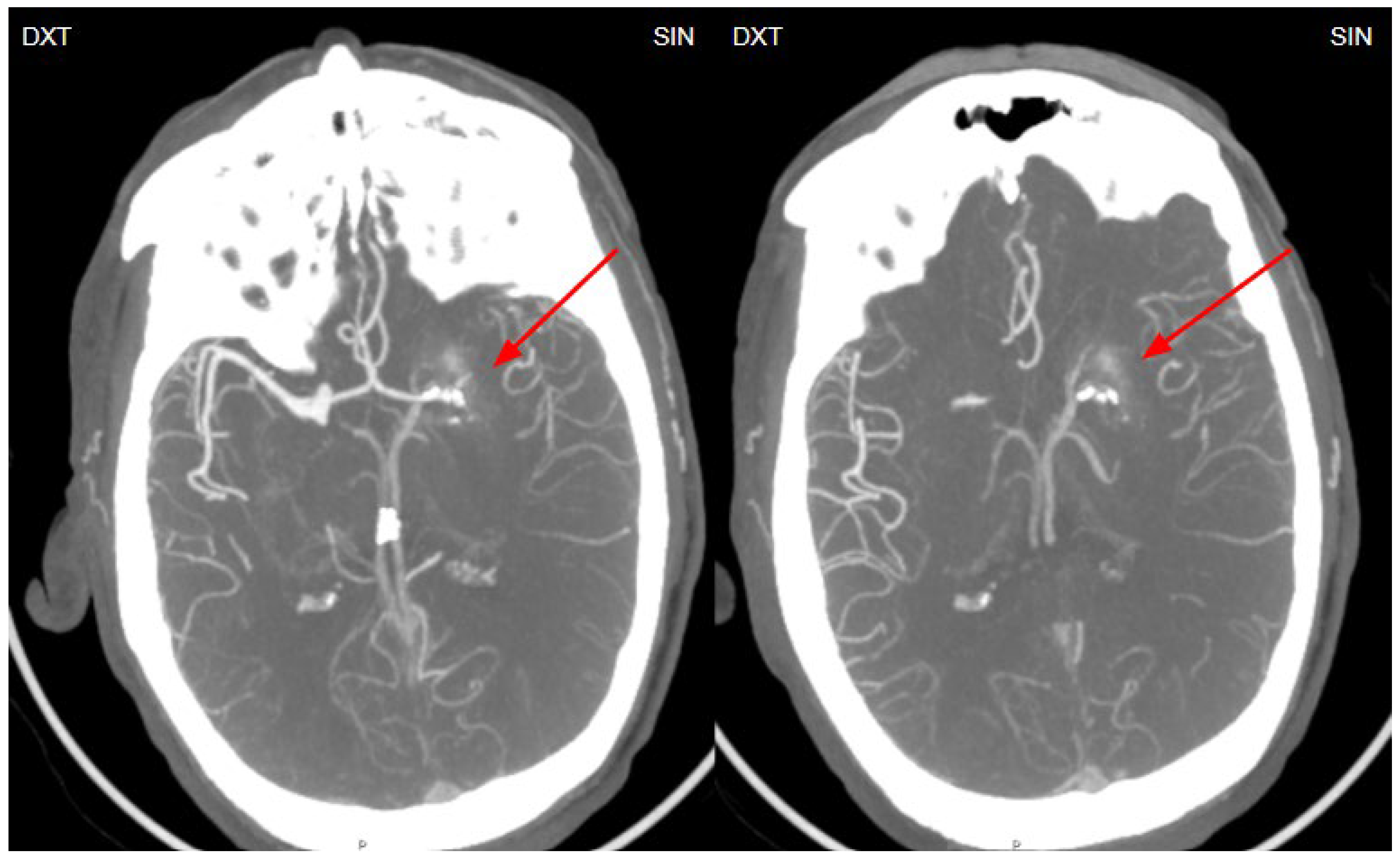 Preprints 141682 g004