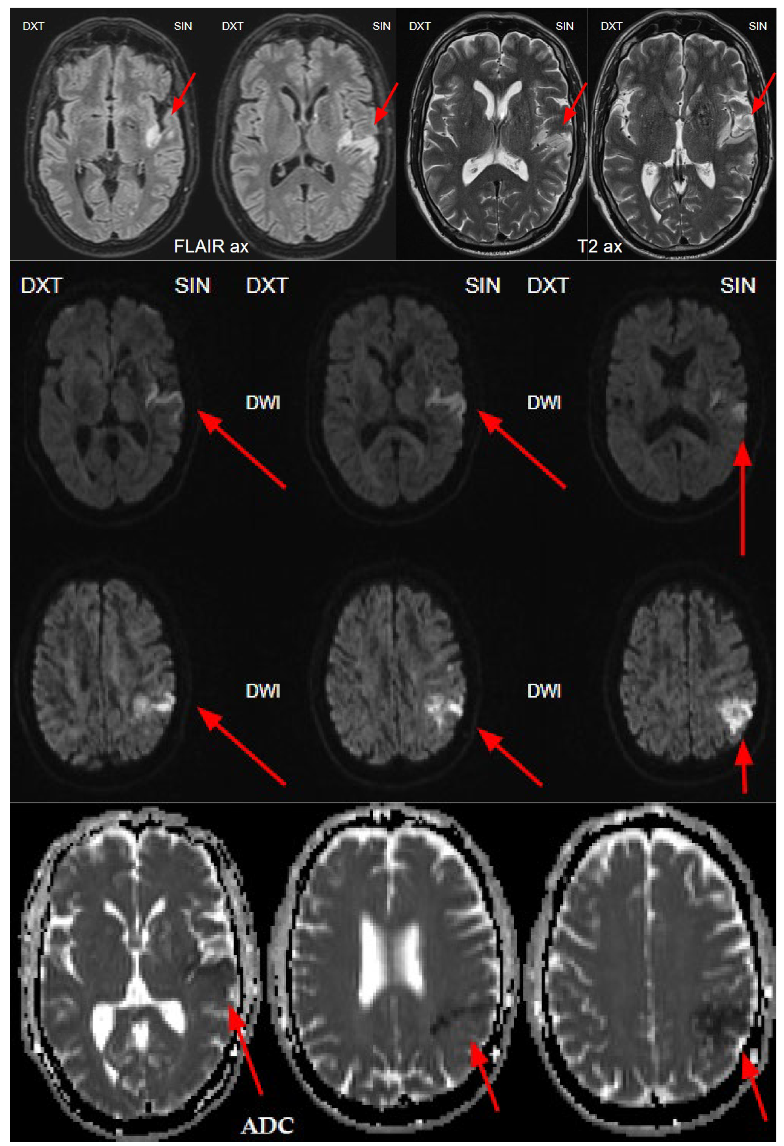 Preprints 141682 g006