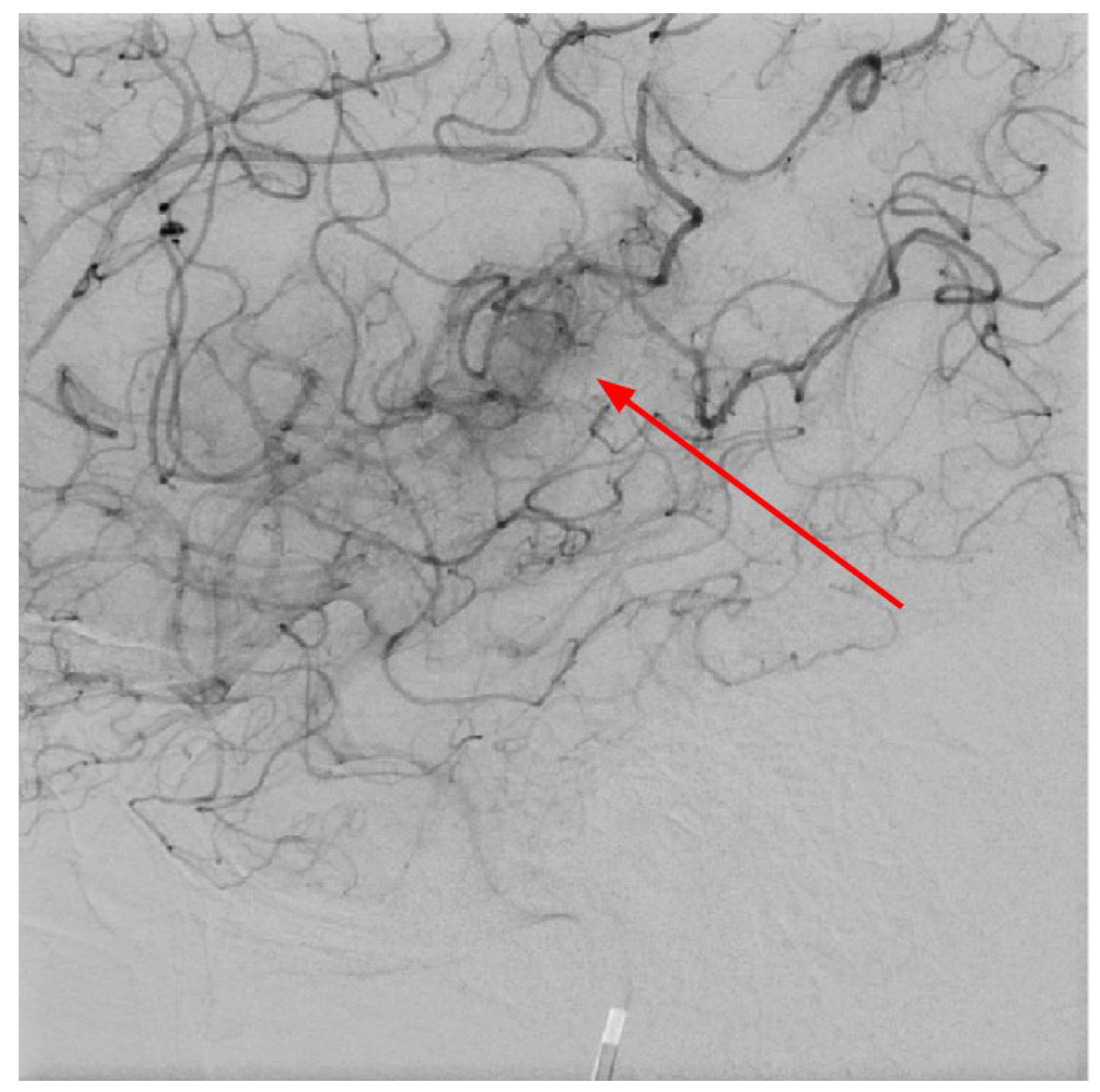 Preprints 141682 g007
