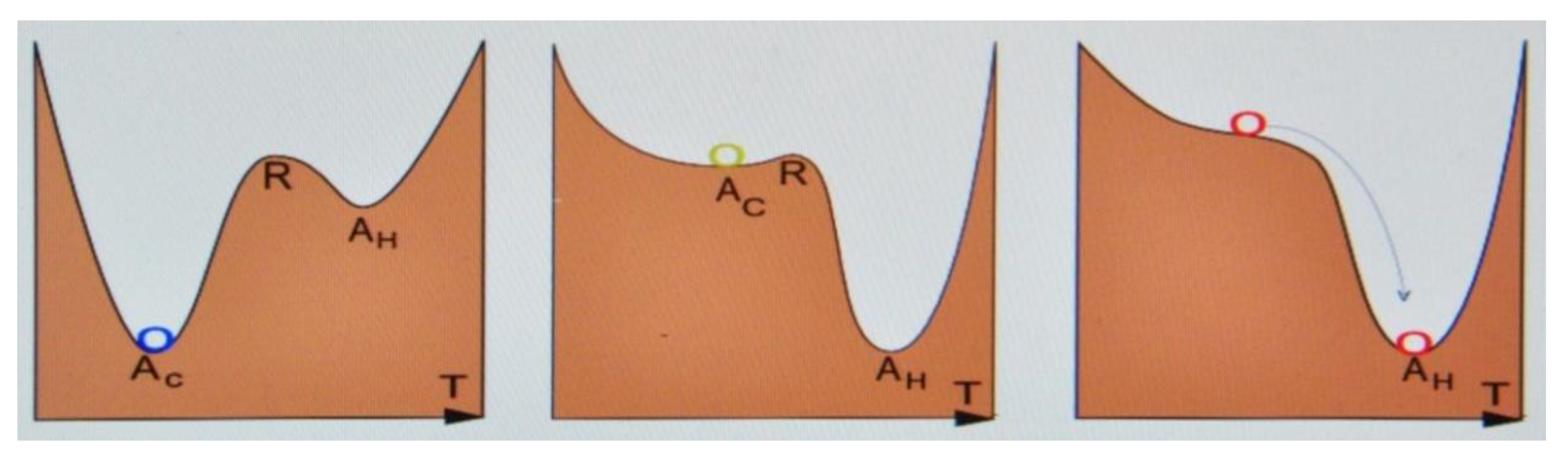 Preprints 173415 g003