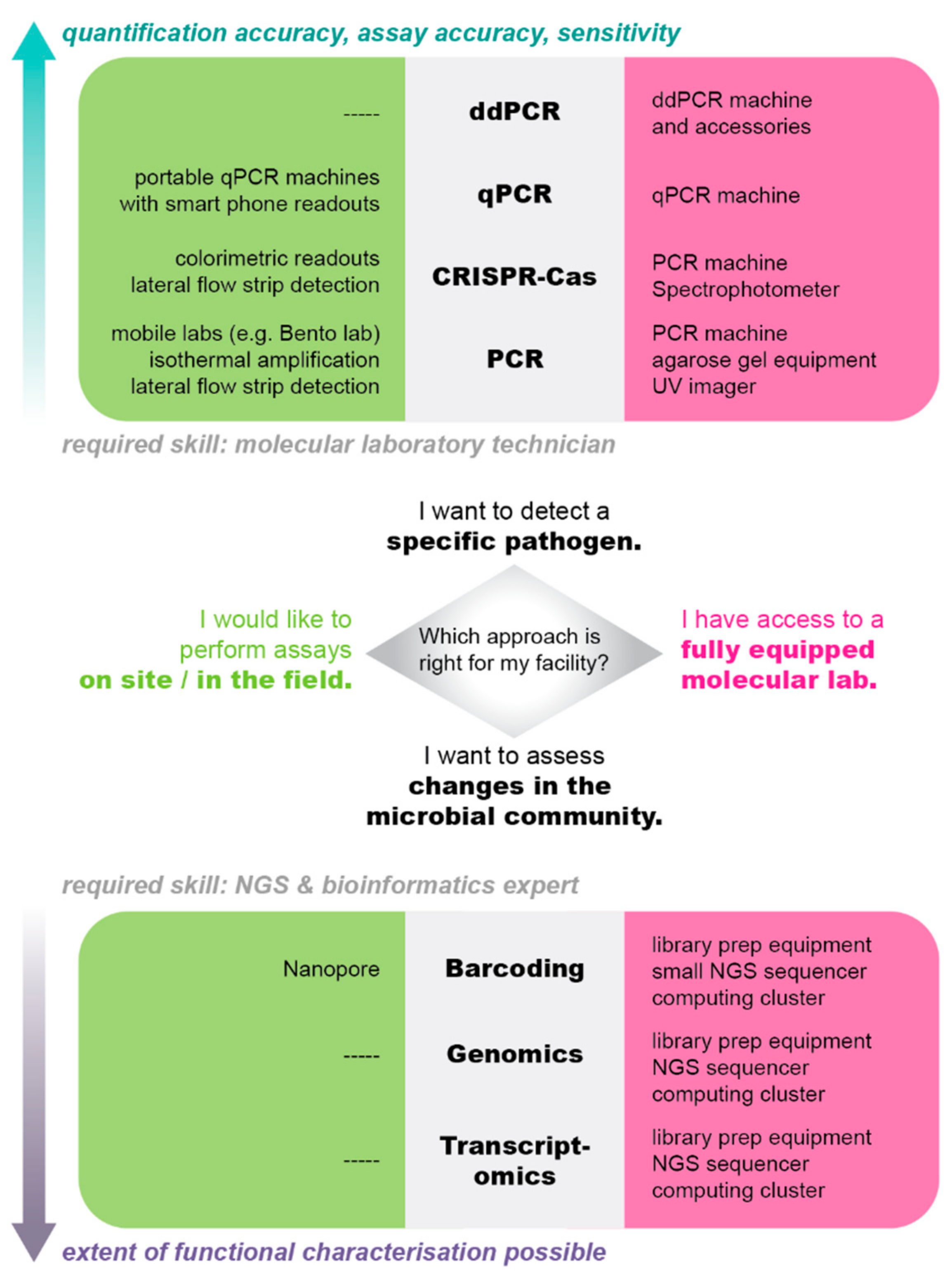 Preprints 153540 g001