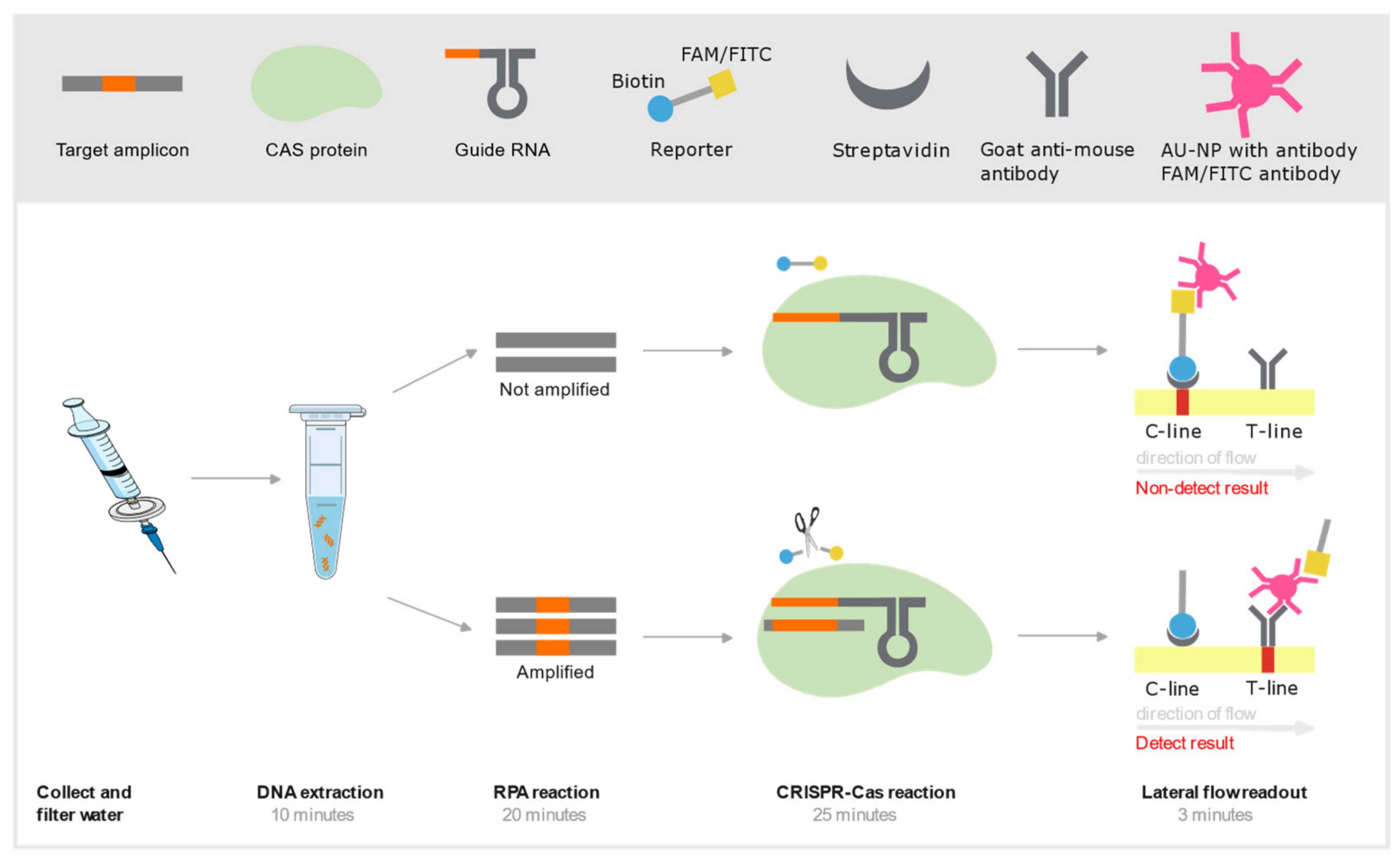 Preprints 153540 g002