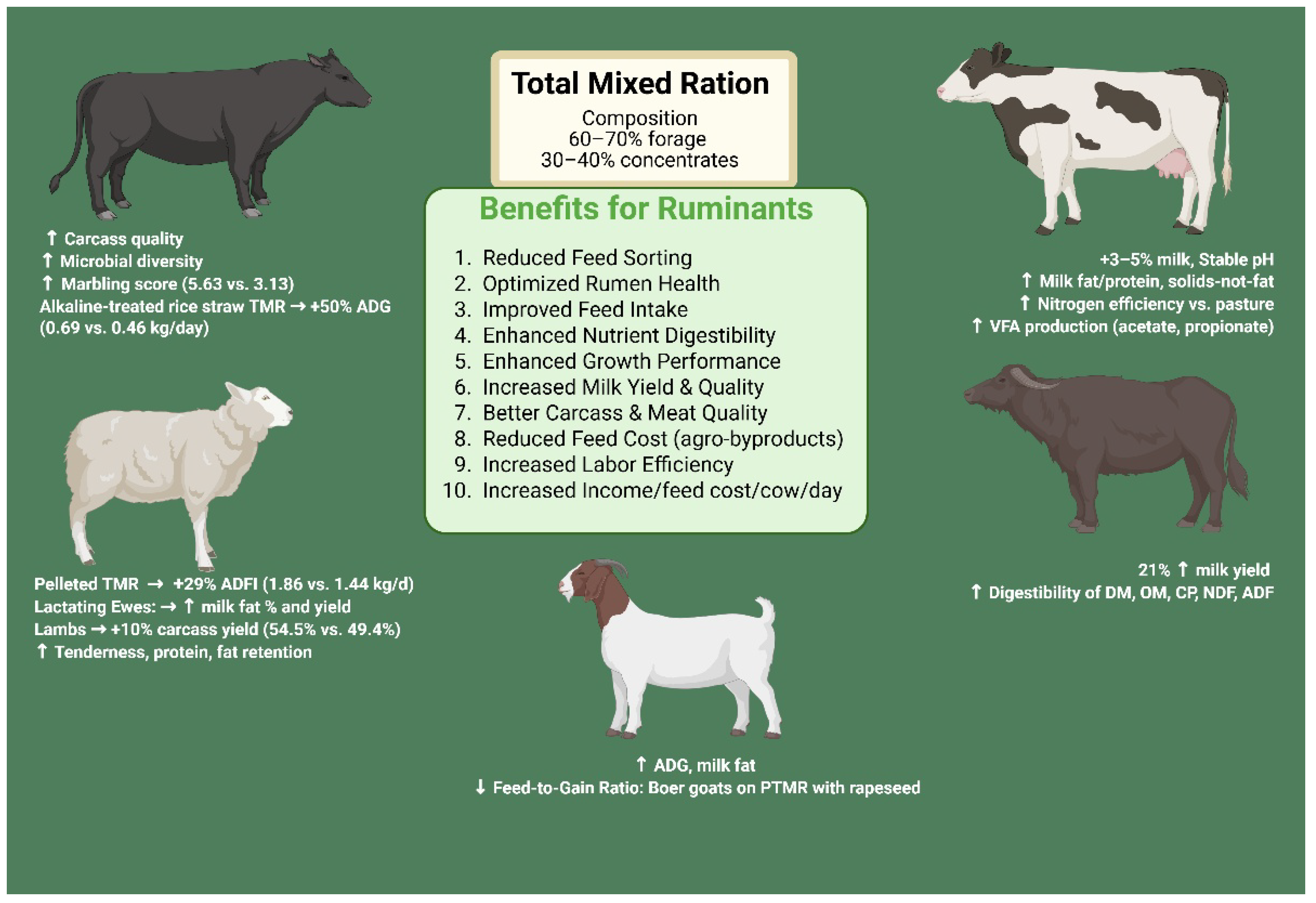 Preprints 169331 g003
