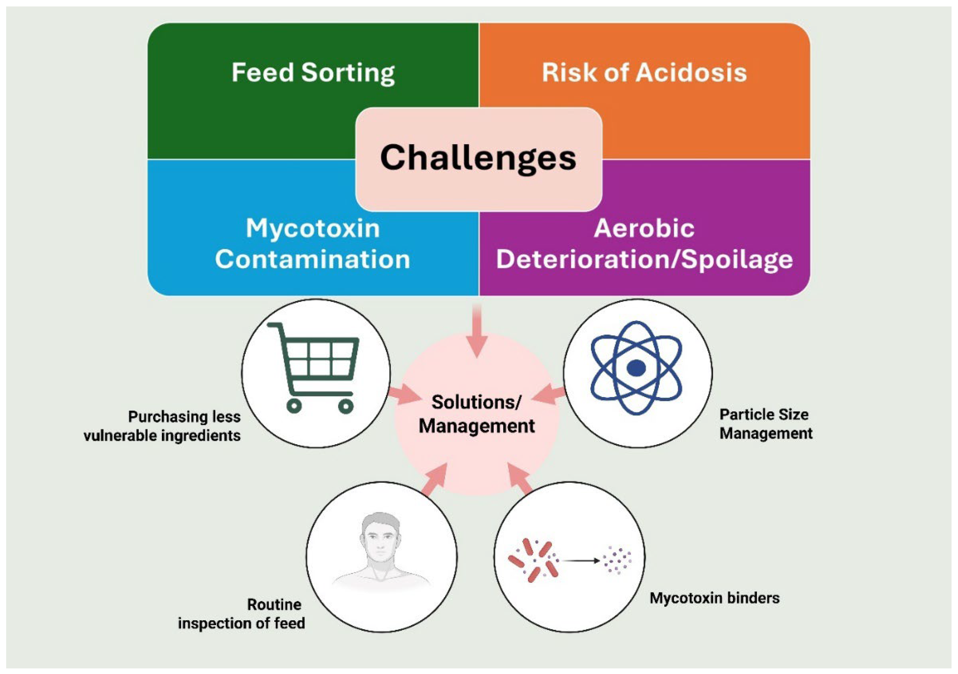 Preprints 169331 g004
