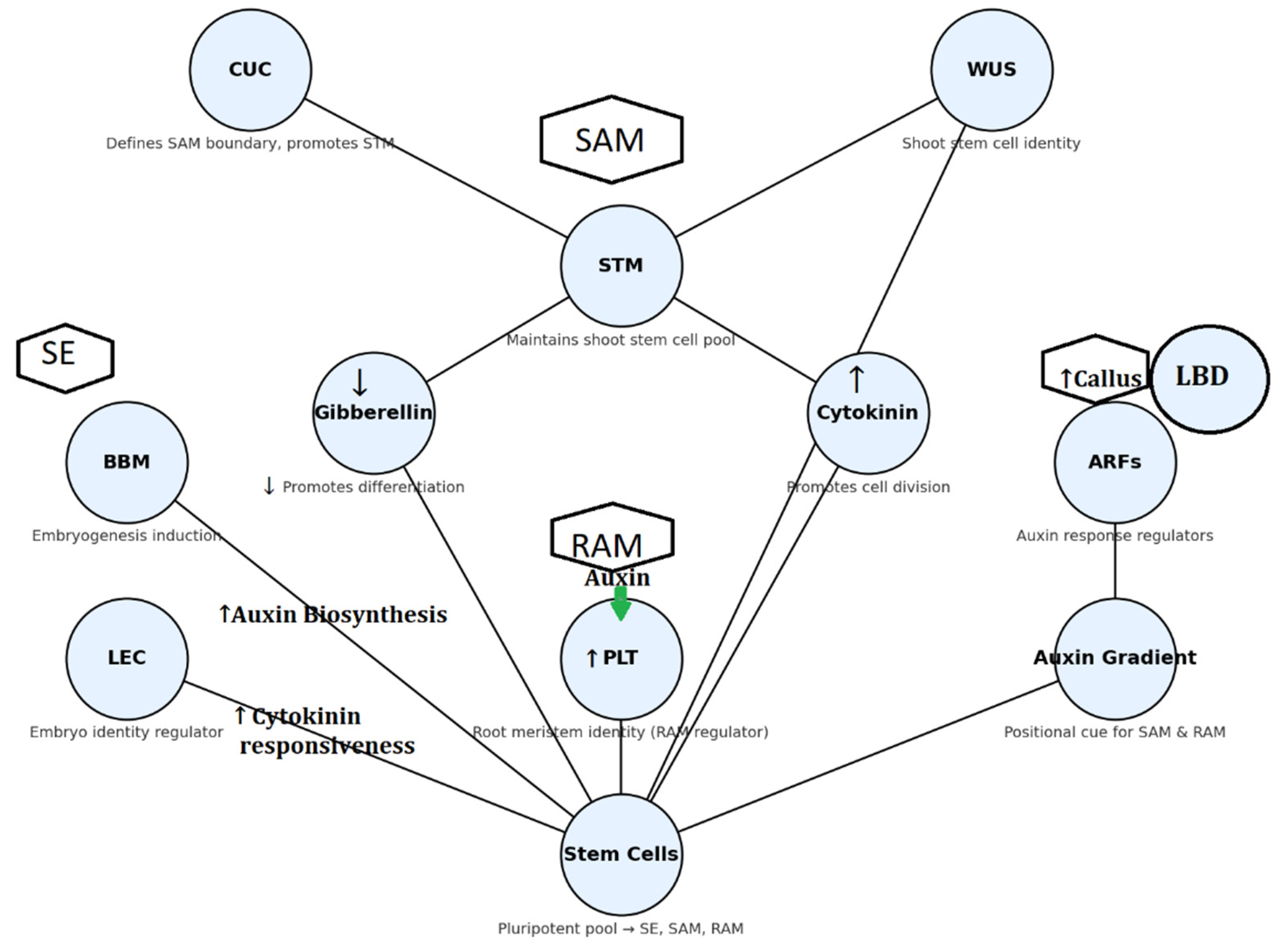 Preprints 174378 g002