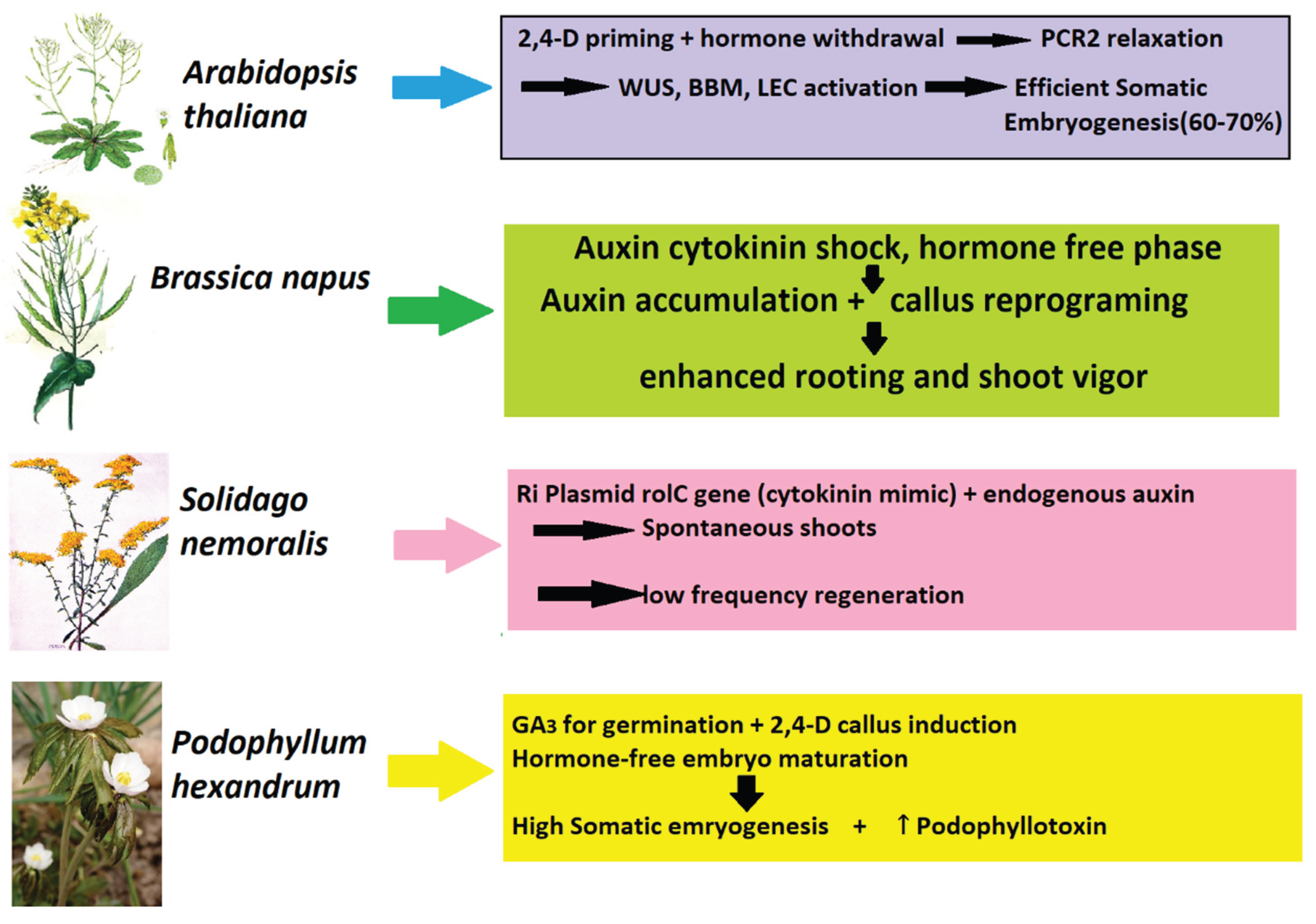 Preprints 174378 g003