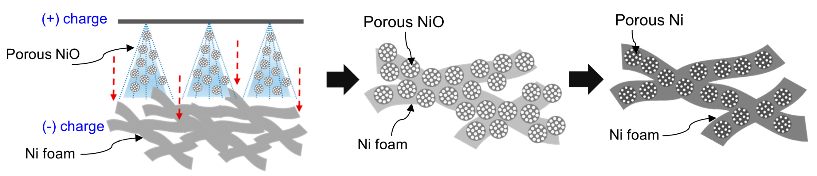 Preprints 143978 g001