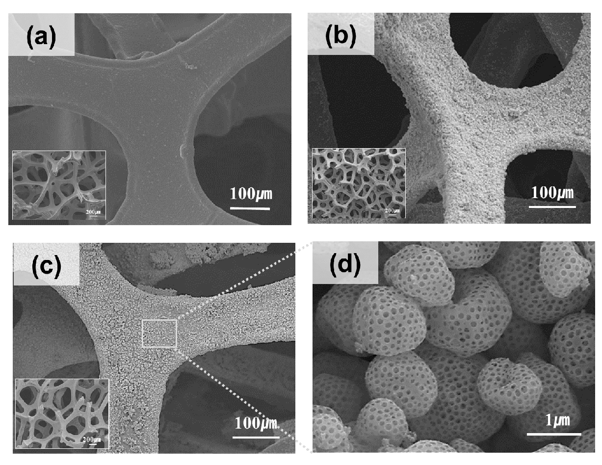 Preprints 143978 g002