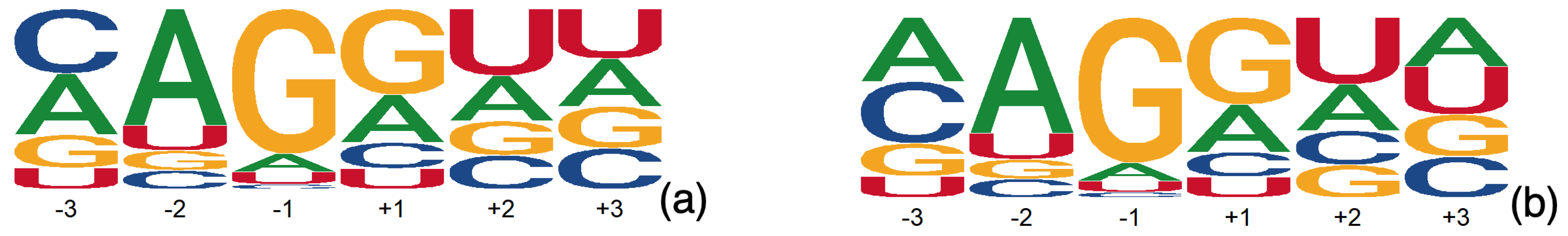 Preprints 207338 g005