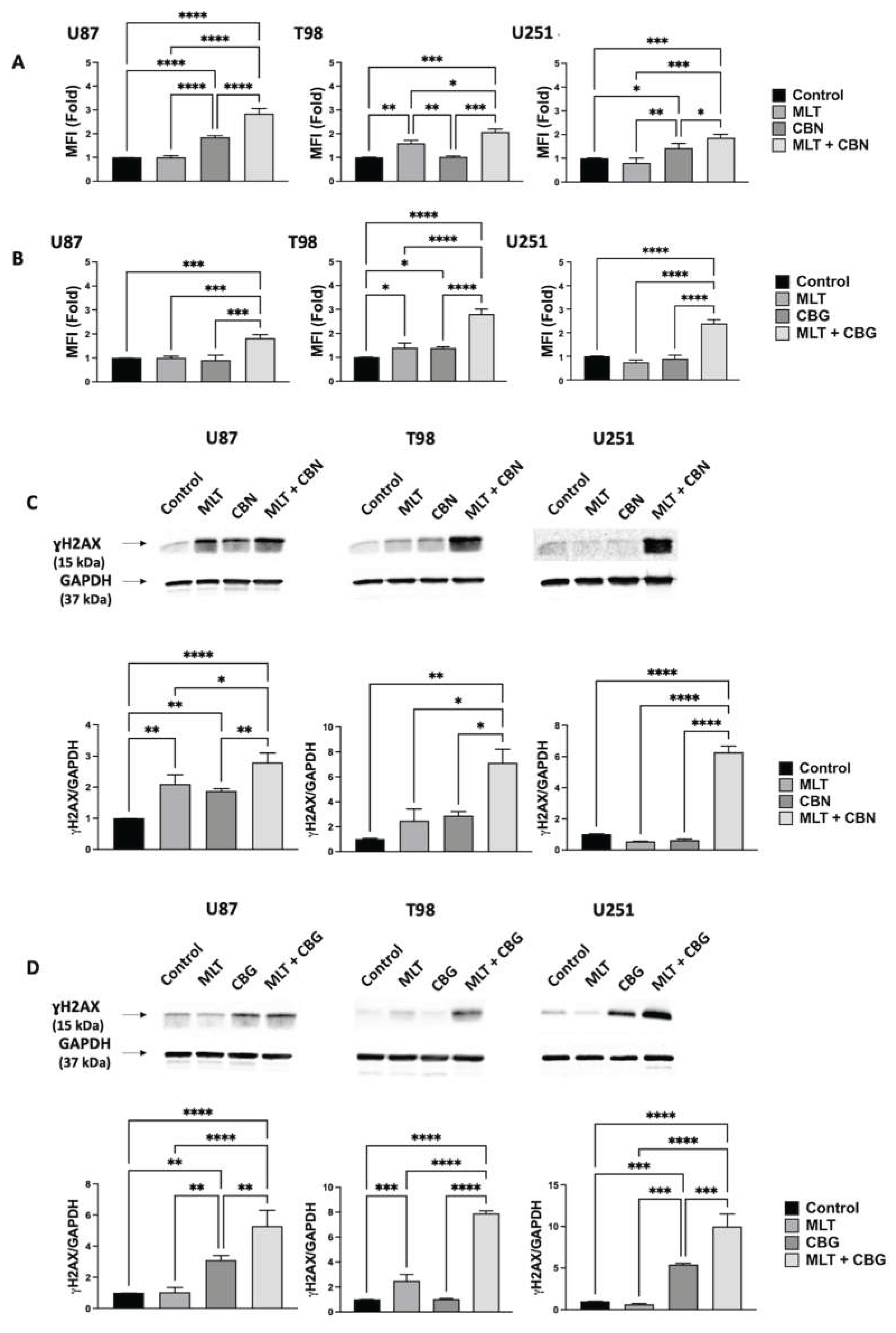 Preprints 219685 g004 Preprints 219685 g004