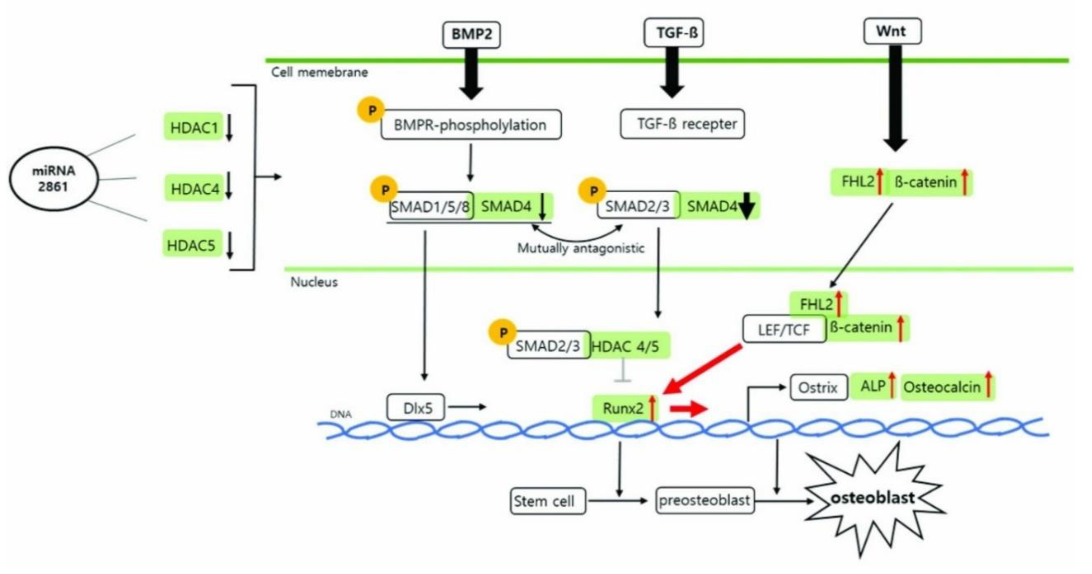 Preprints 176513 g001