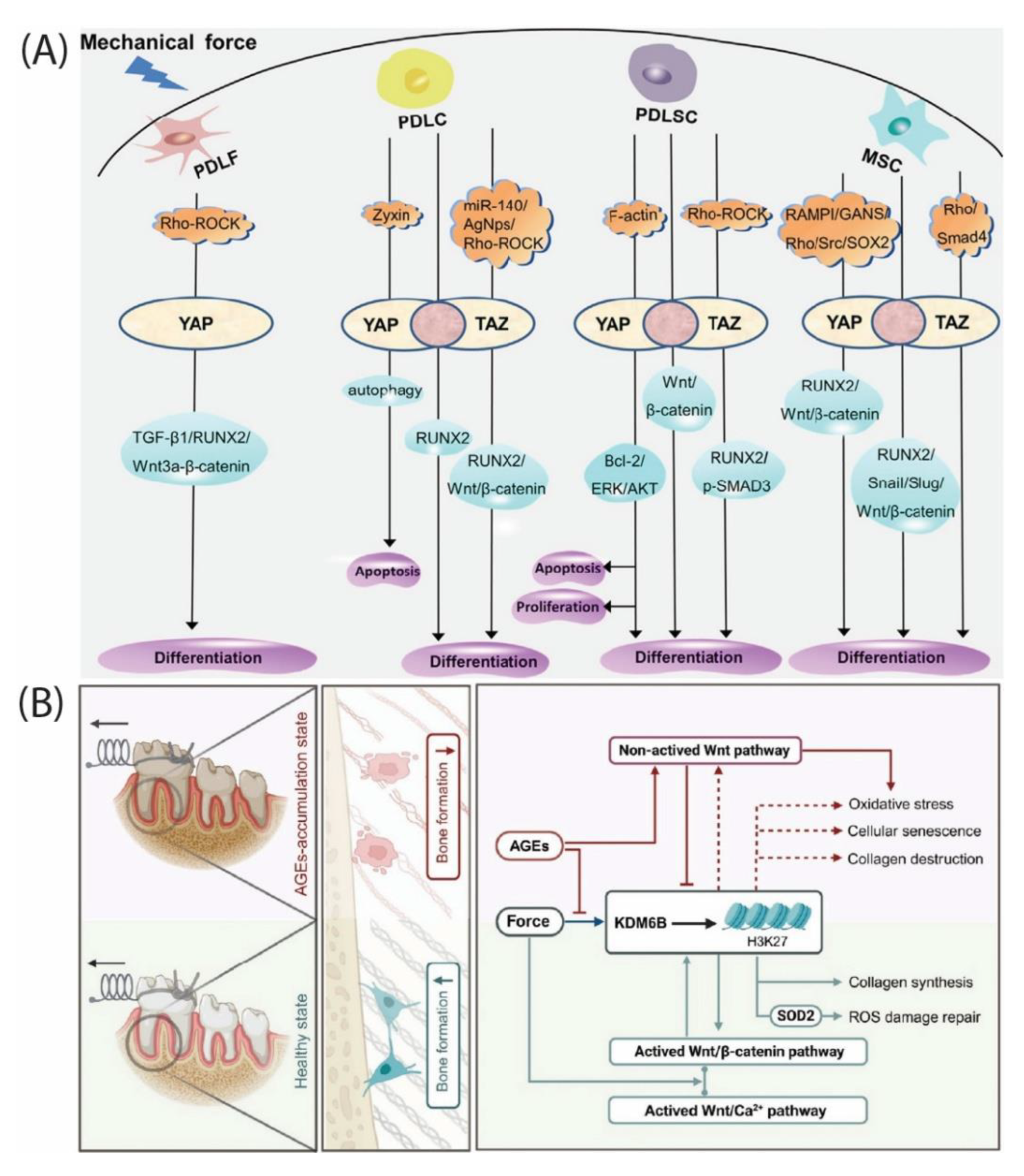 Preprints 176513 g003