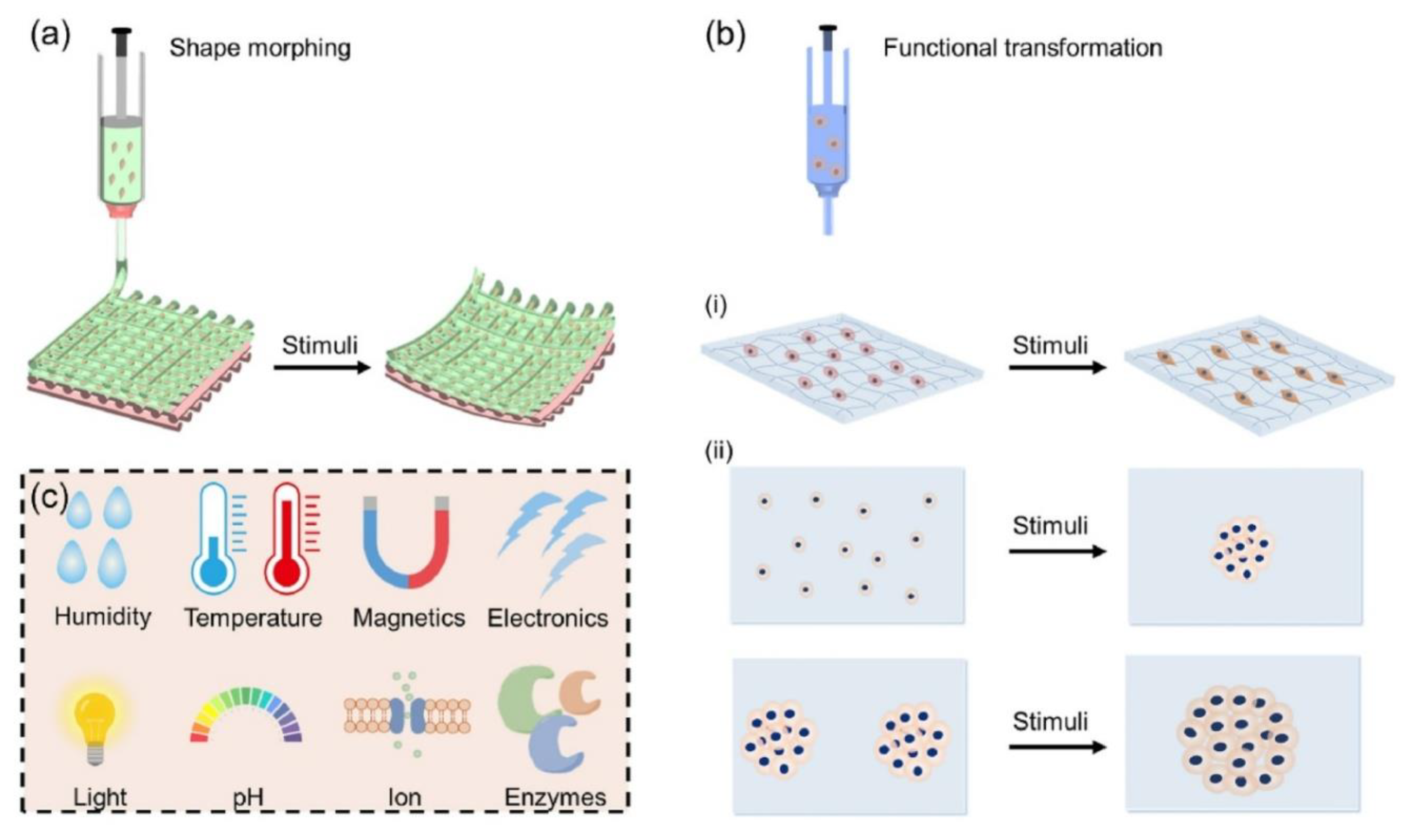 Preprints 176513 g005