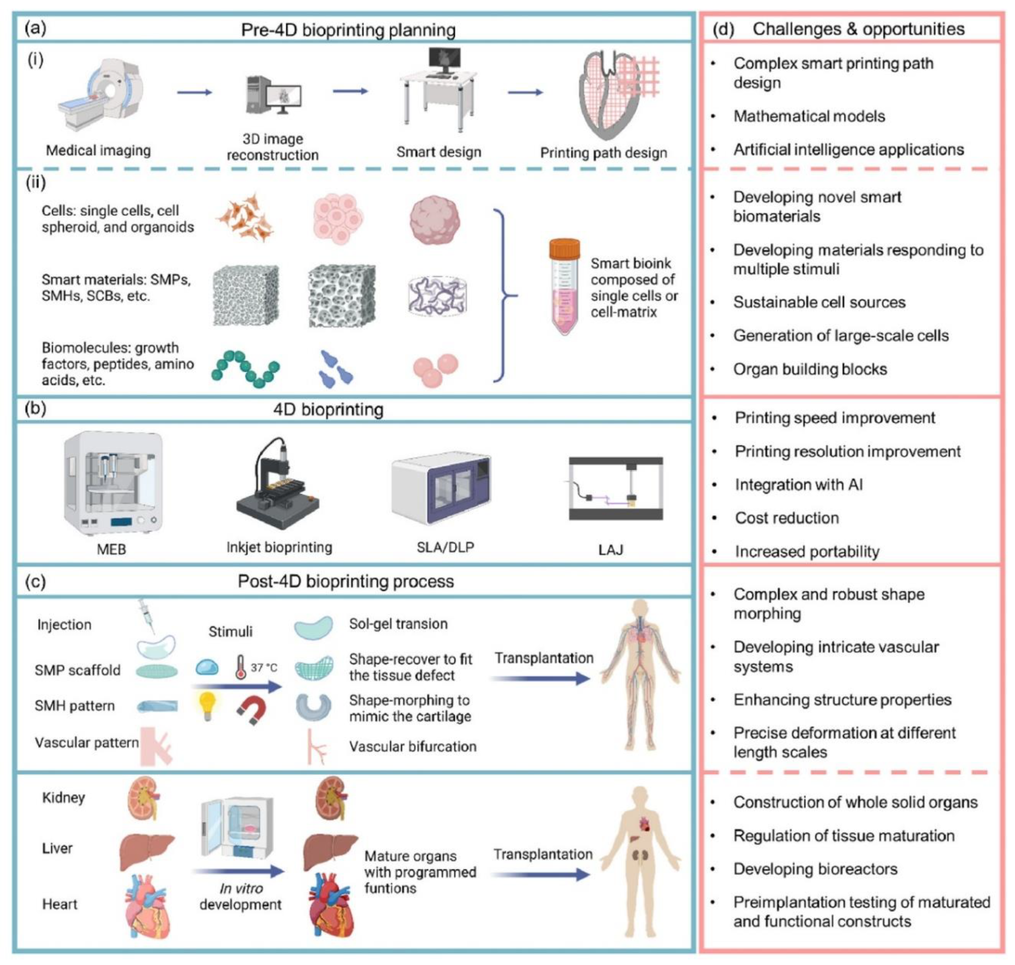Preprints 176513 g006