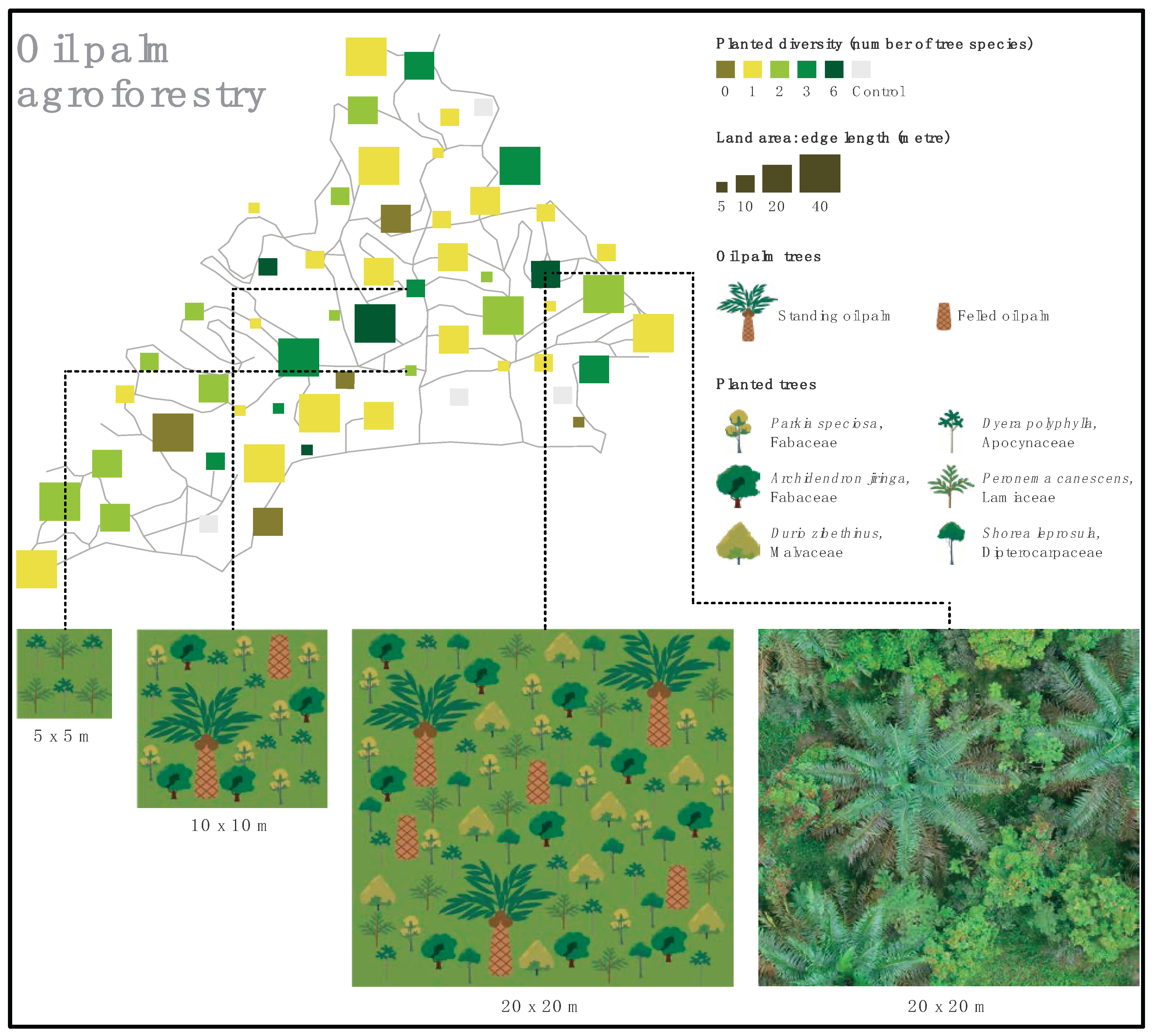 Preprints 159094 g004
