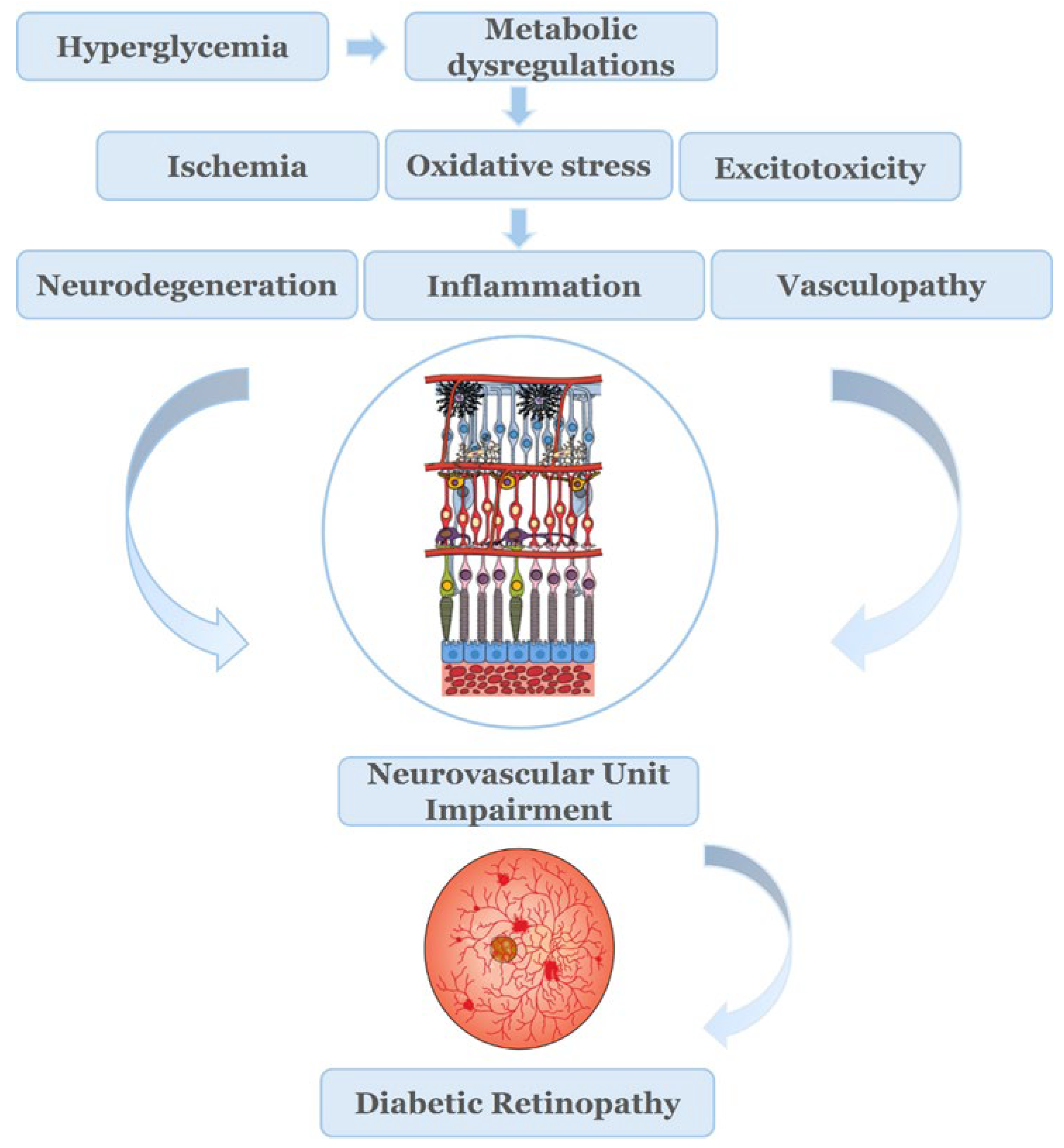 Preprints 195400 g001