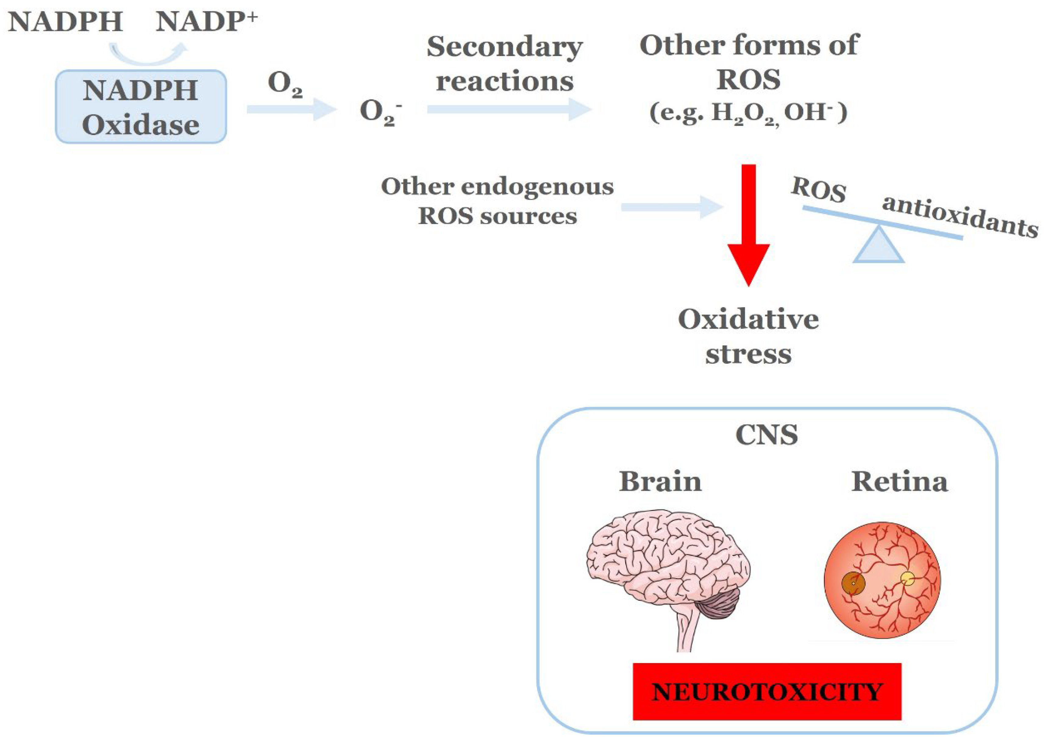 Preprints 195400 g002