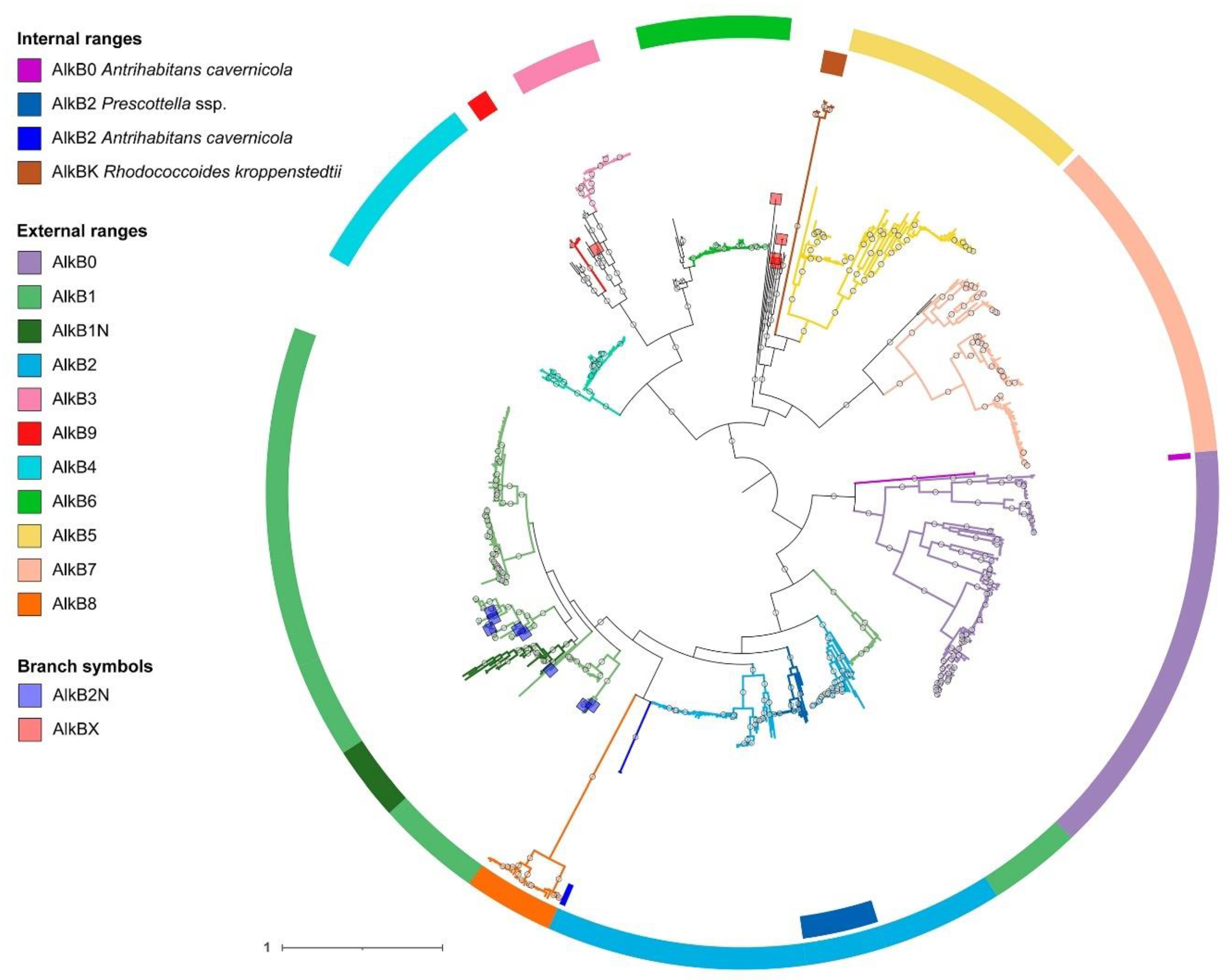 Preprints 141986 g001