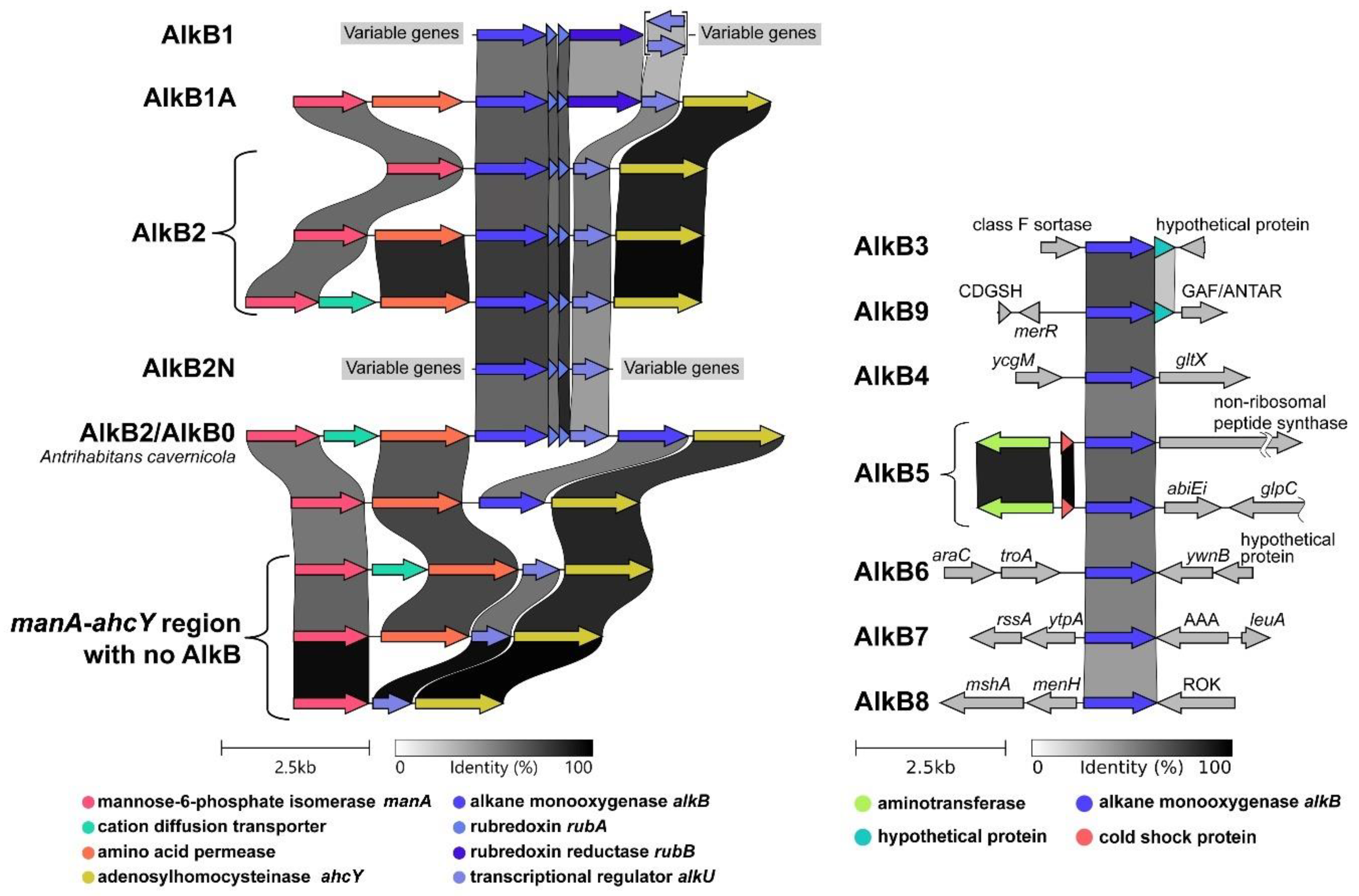Preprints 141986 g002