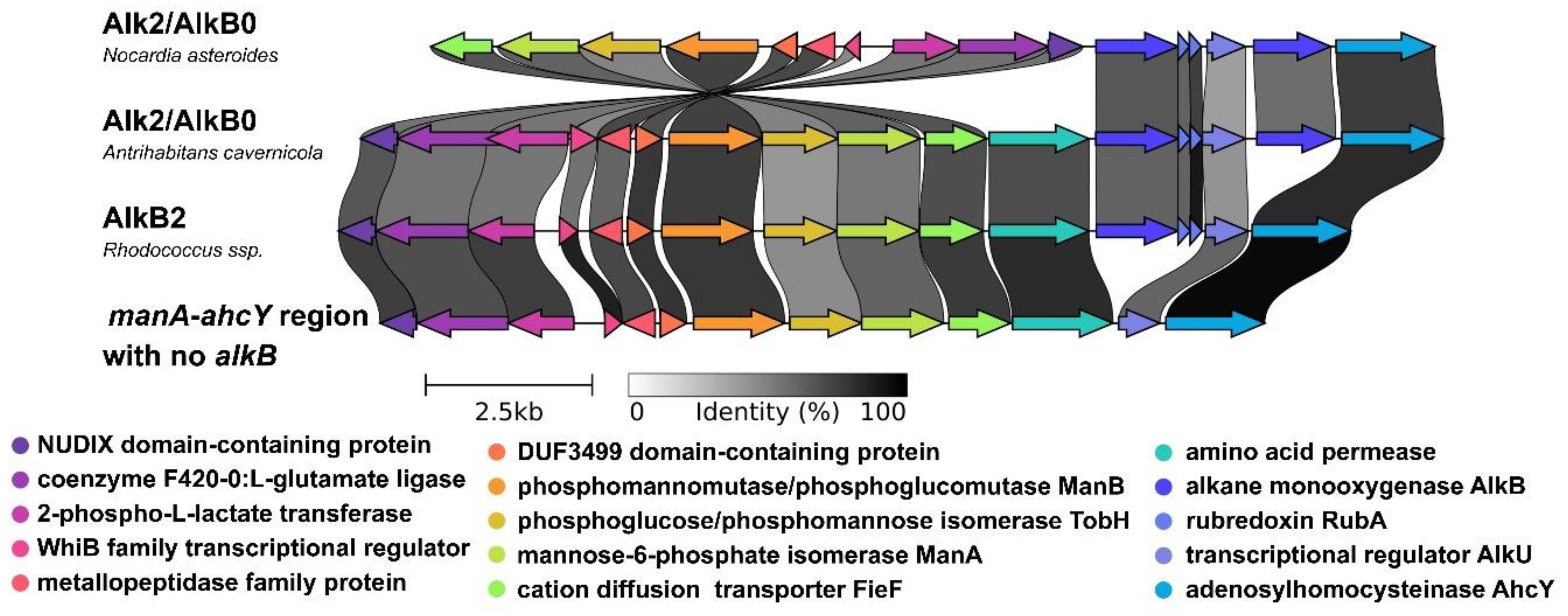 Preprints 141986 g003