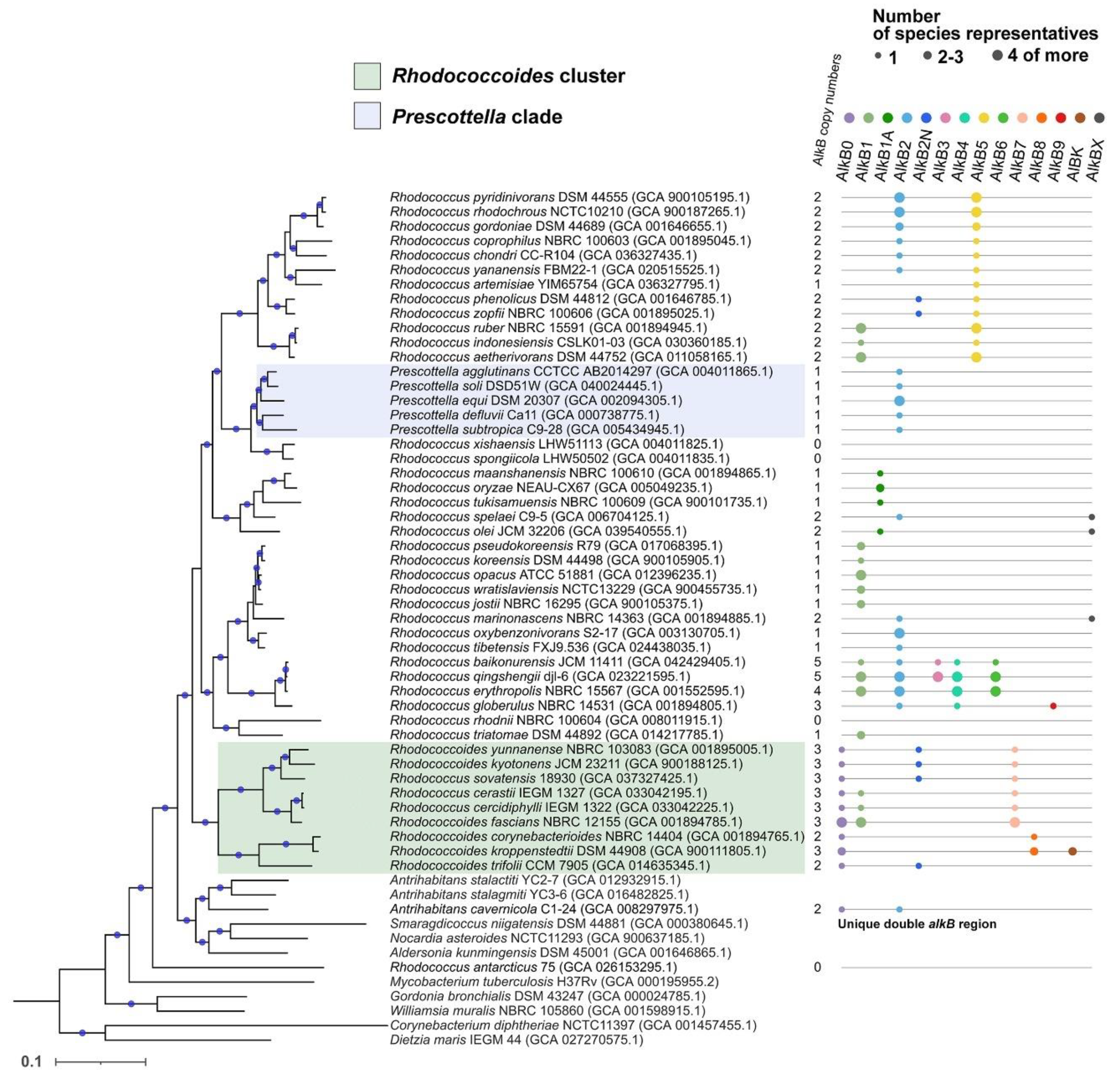 Preprints 141986 g004