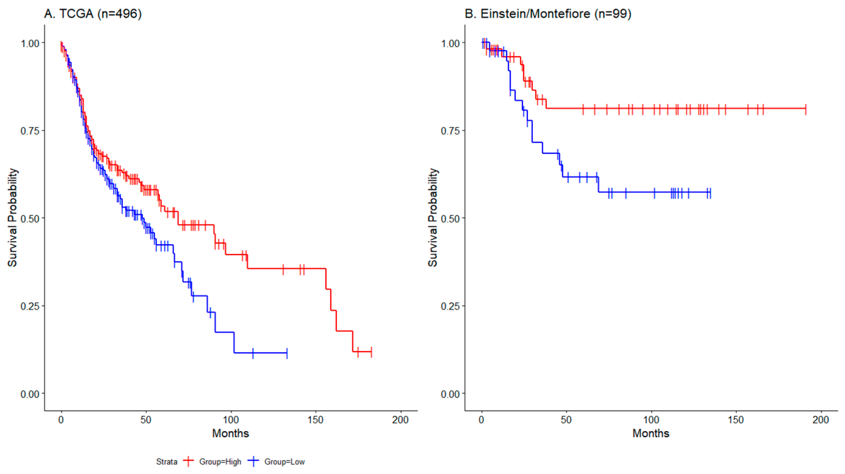 Preprints 115937 g002