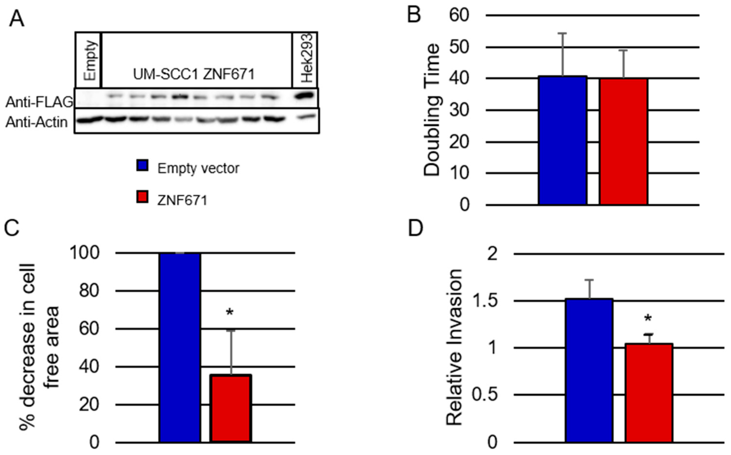 Preprints 115937 g003