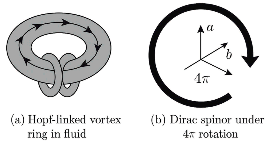 Preprints 176766 i022