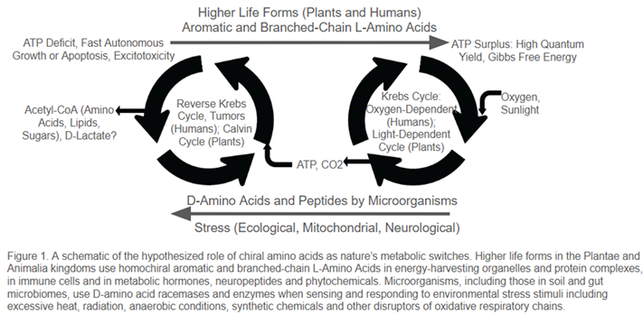 Preprints 162099 i001