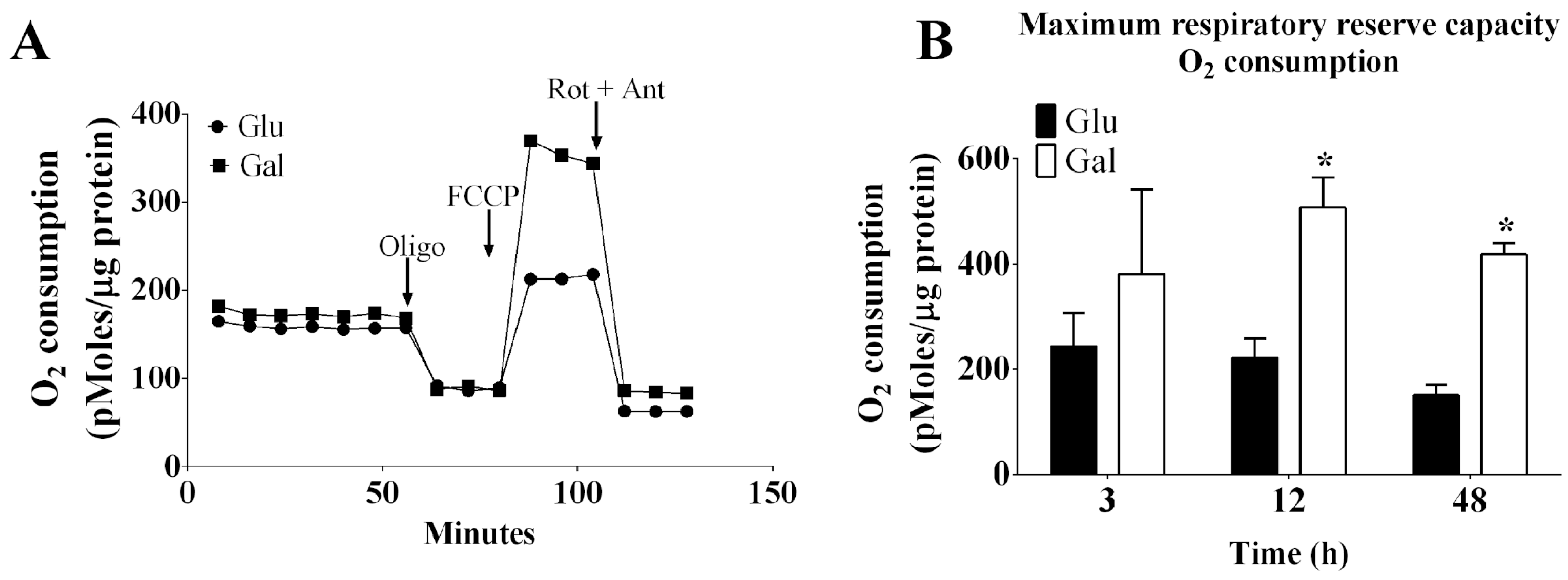 Preprints 109765 g001