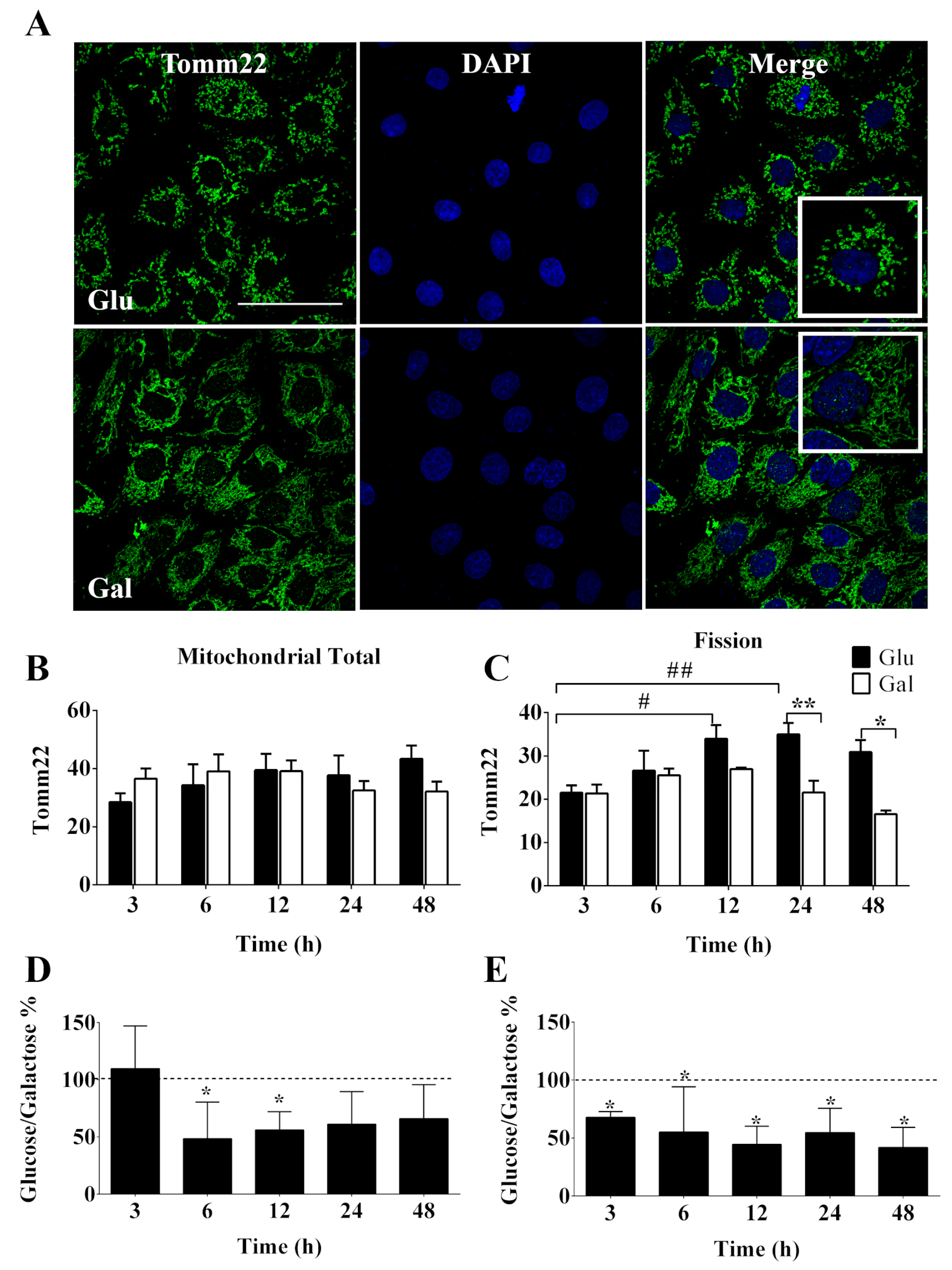 Preprints 109765 g002