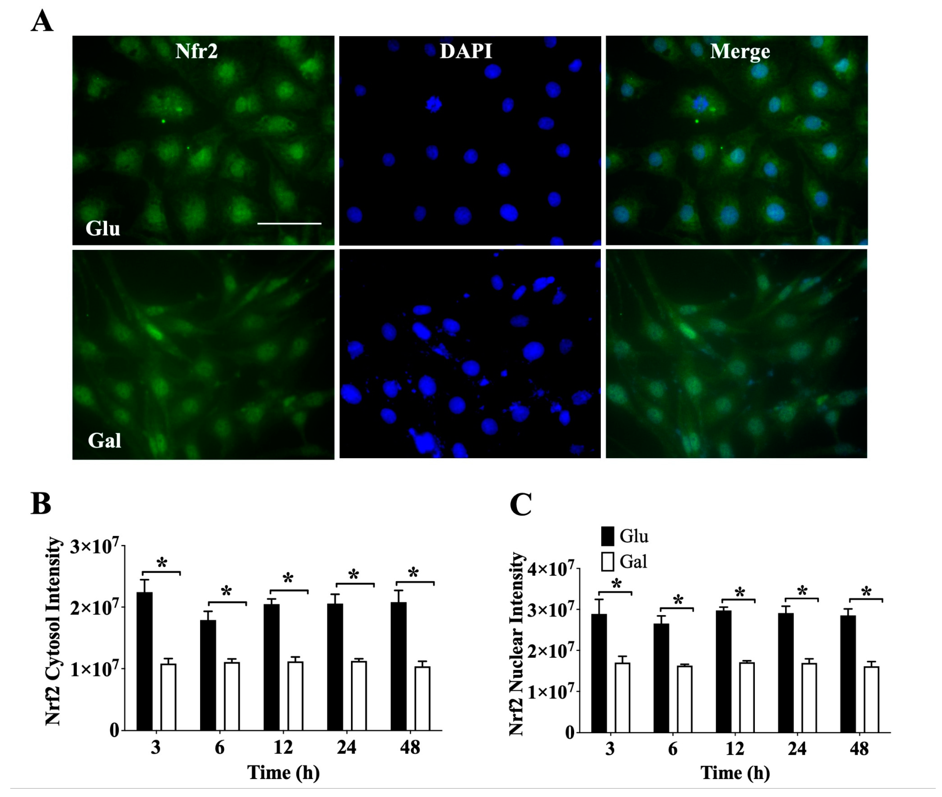 Preprints 109765 g003