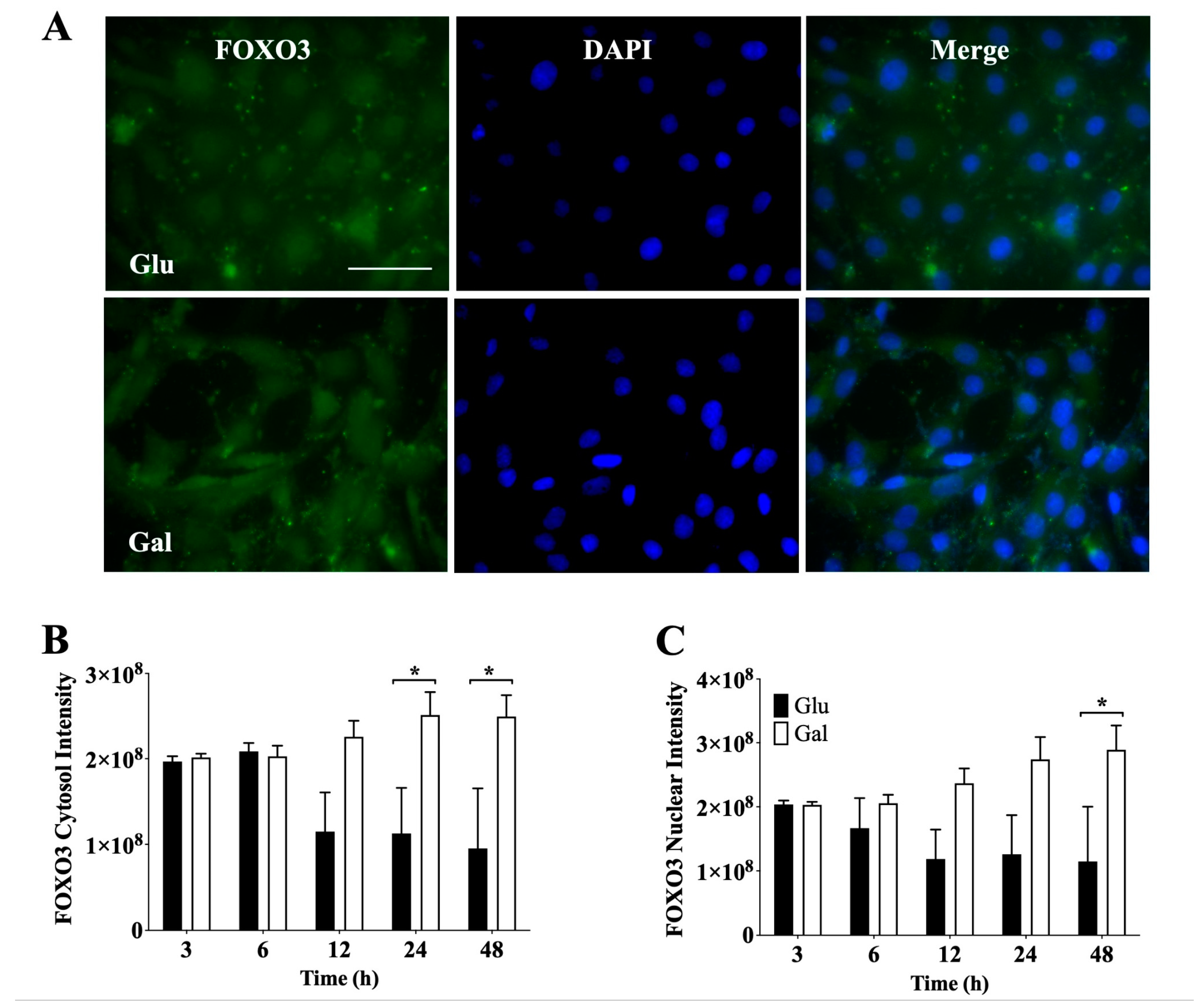 Preprints 109765 g004