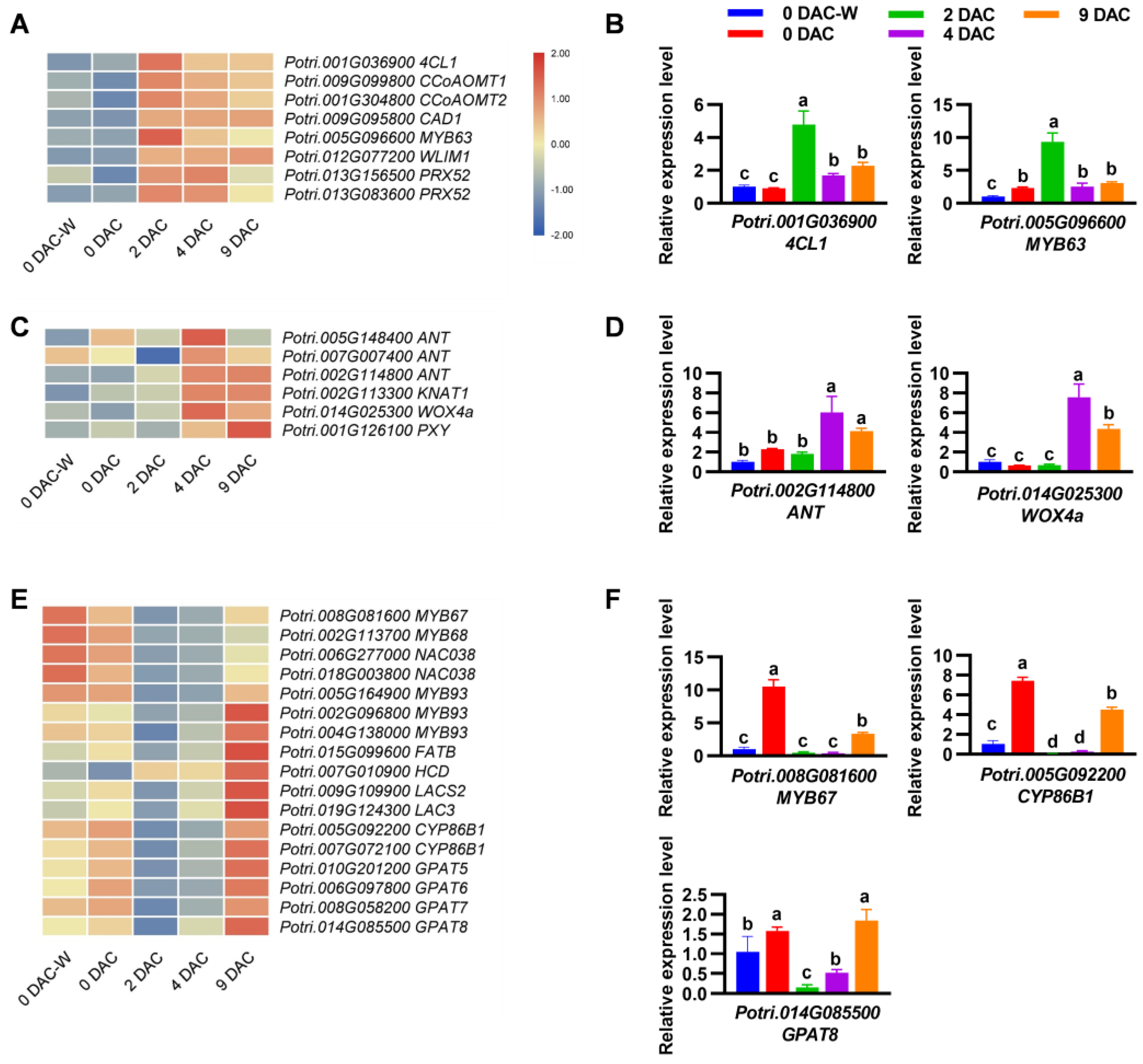 Preprints 237457 g003 Preprints 237457 g003