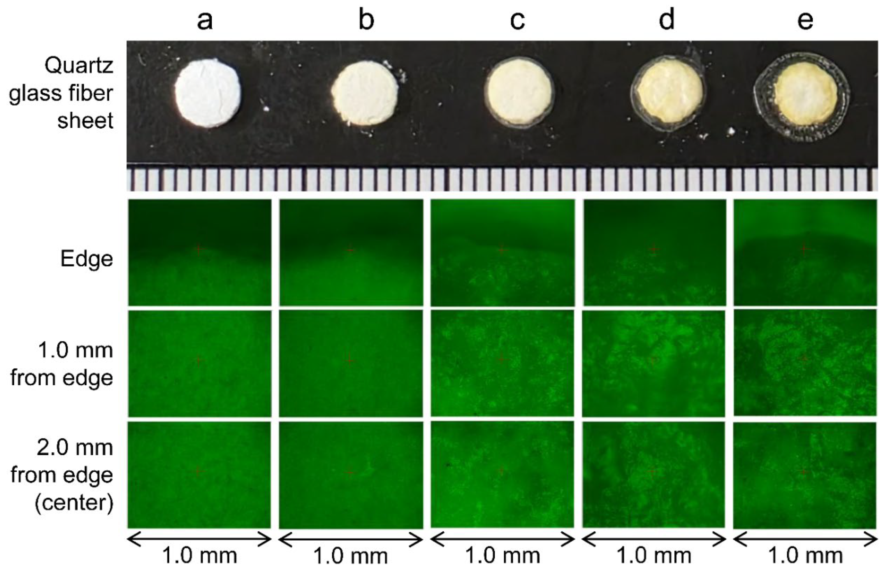Preprints 193600 g006